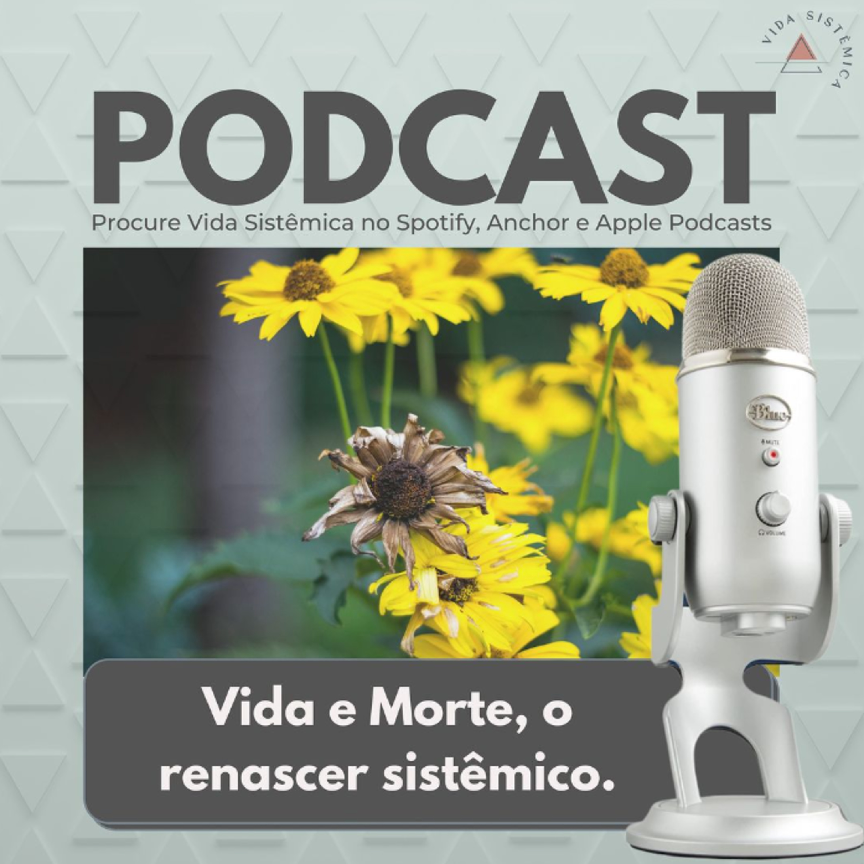 Vida Sistêmica
