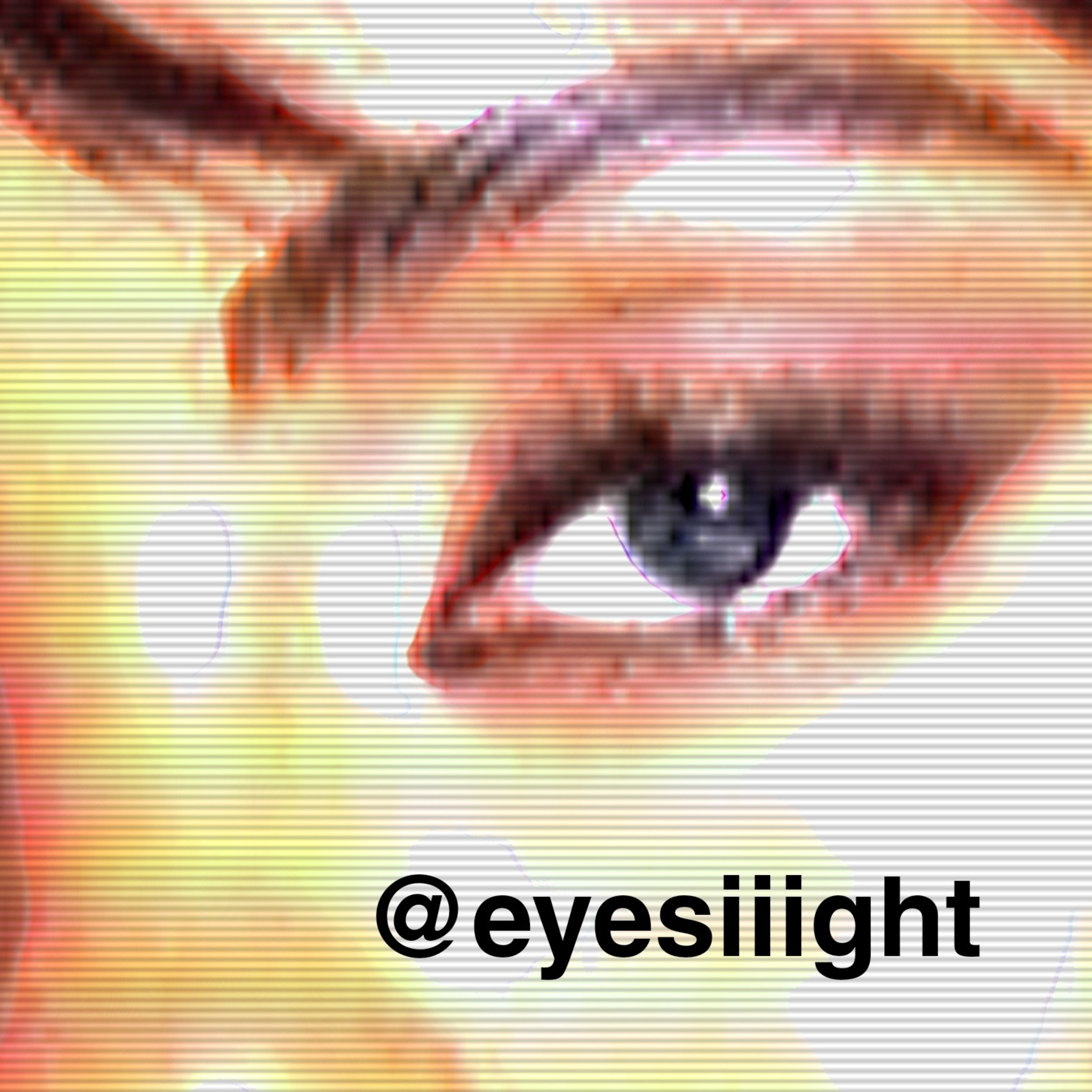 The Artistic Eye