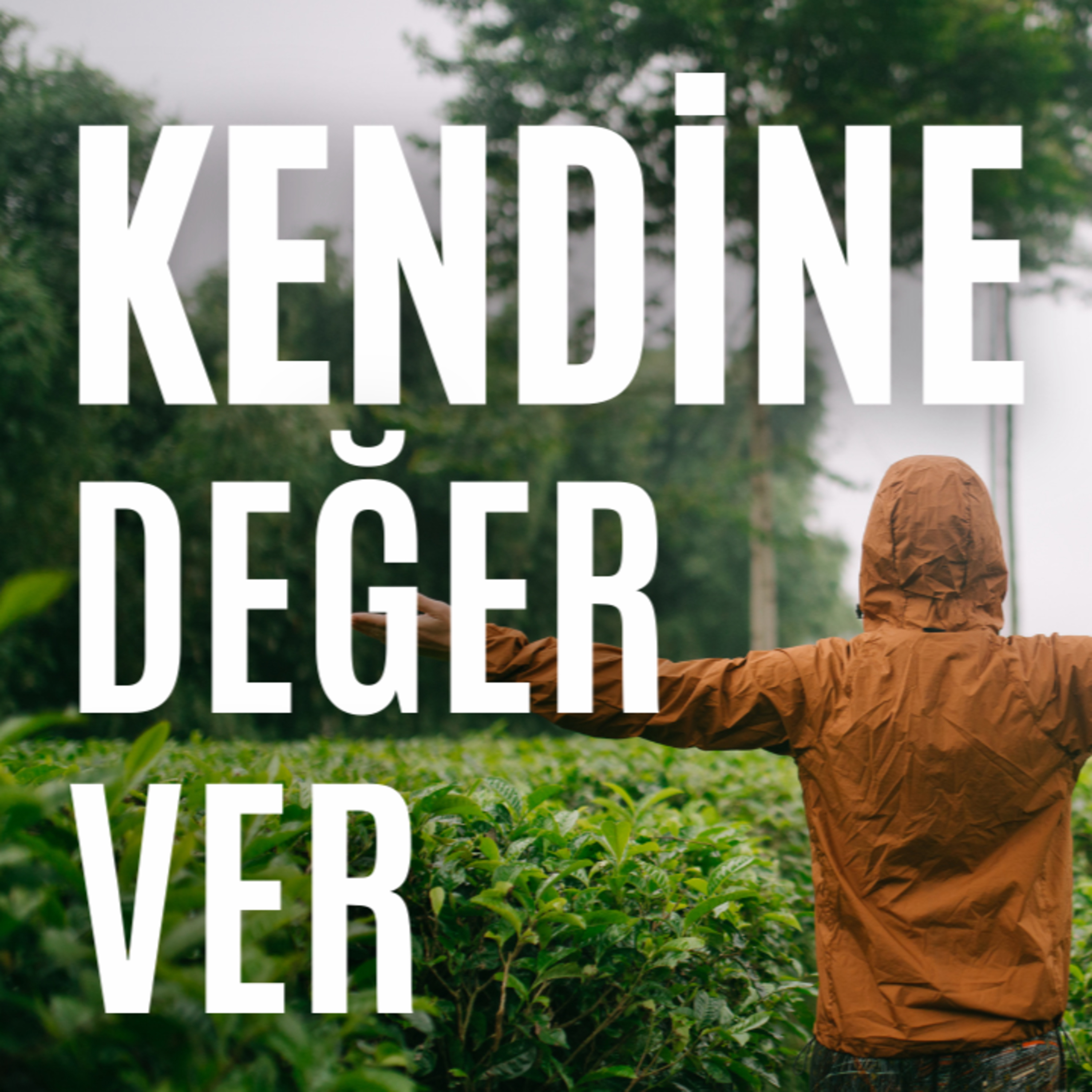 Seslendirmelerim
