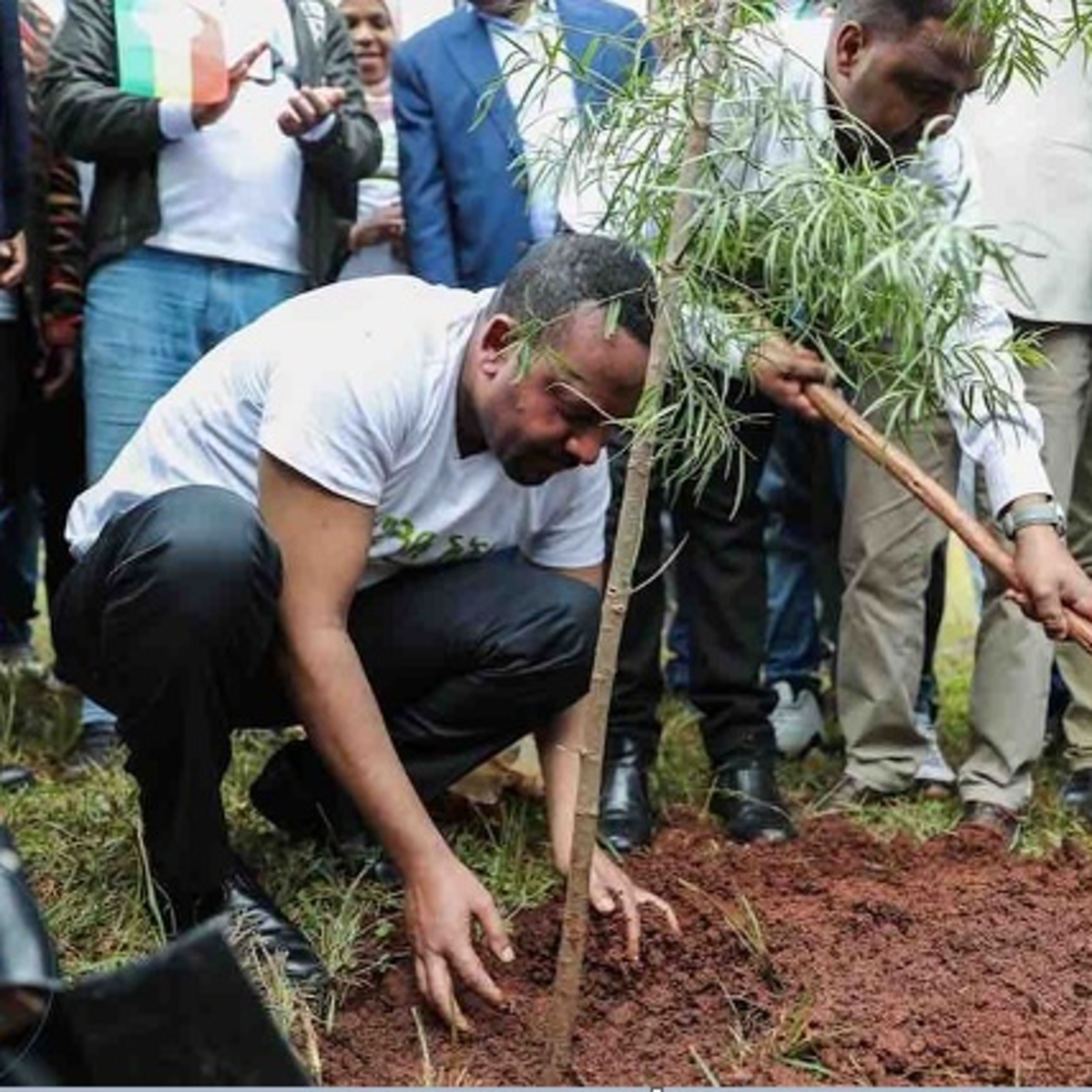 Anchor Morning Audio ⚓️🎙🔊 07.31.2019 ; New World Record Shattered Old Record For Planting Tree Saplings!