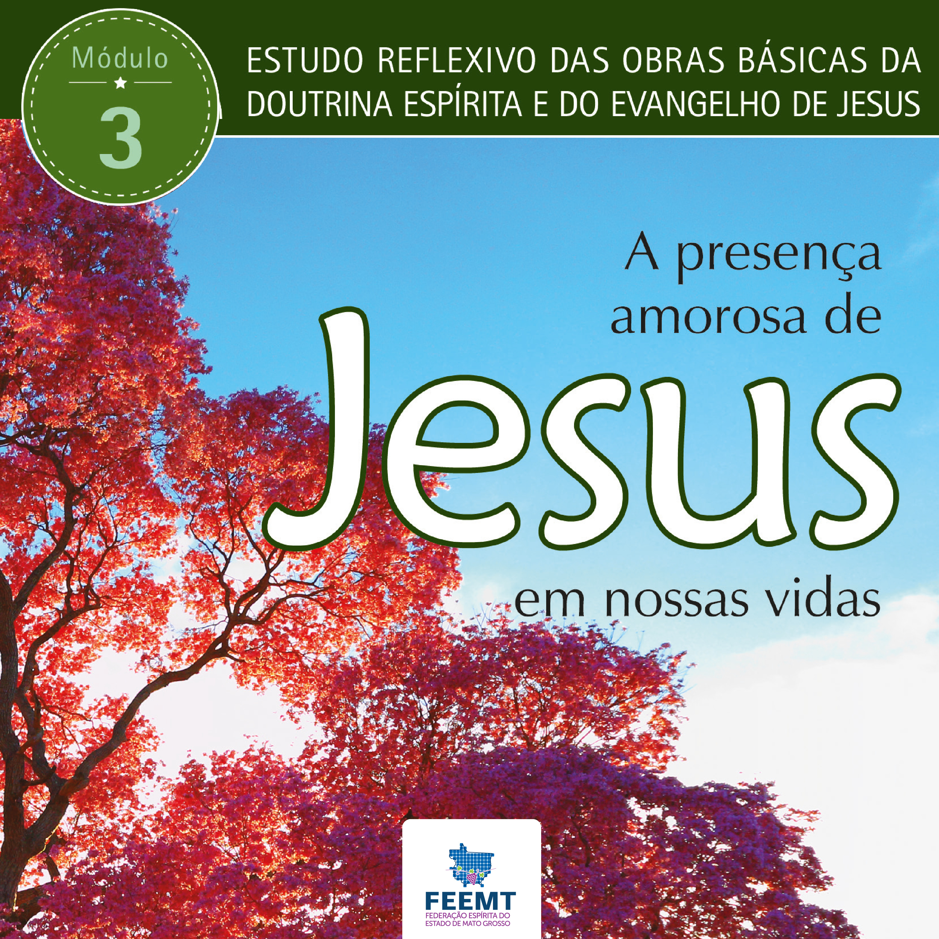 Arquivo de Pods da Feemt