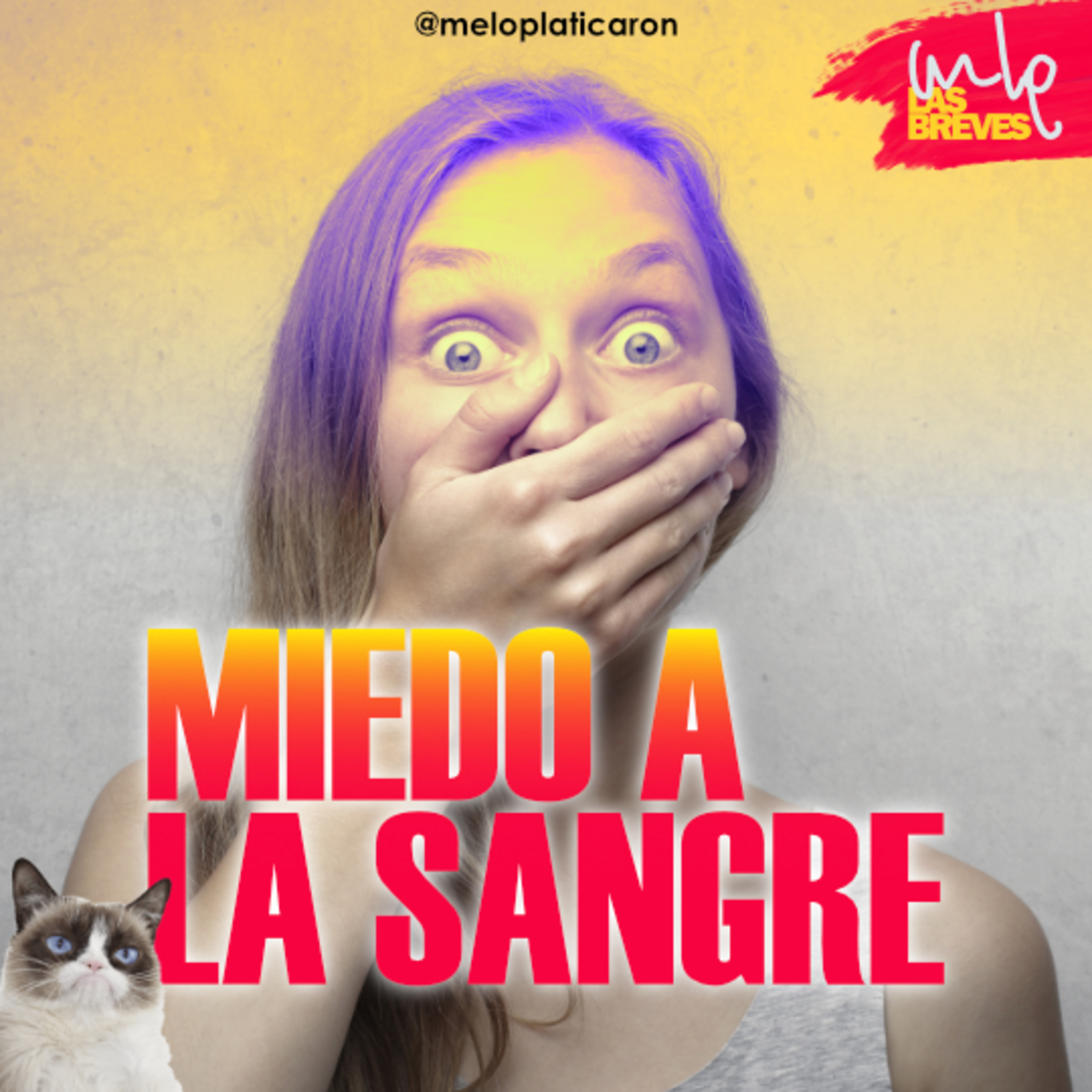 MLP - ME LO PLATICARON!