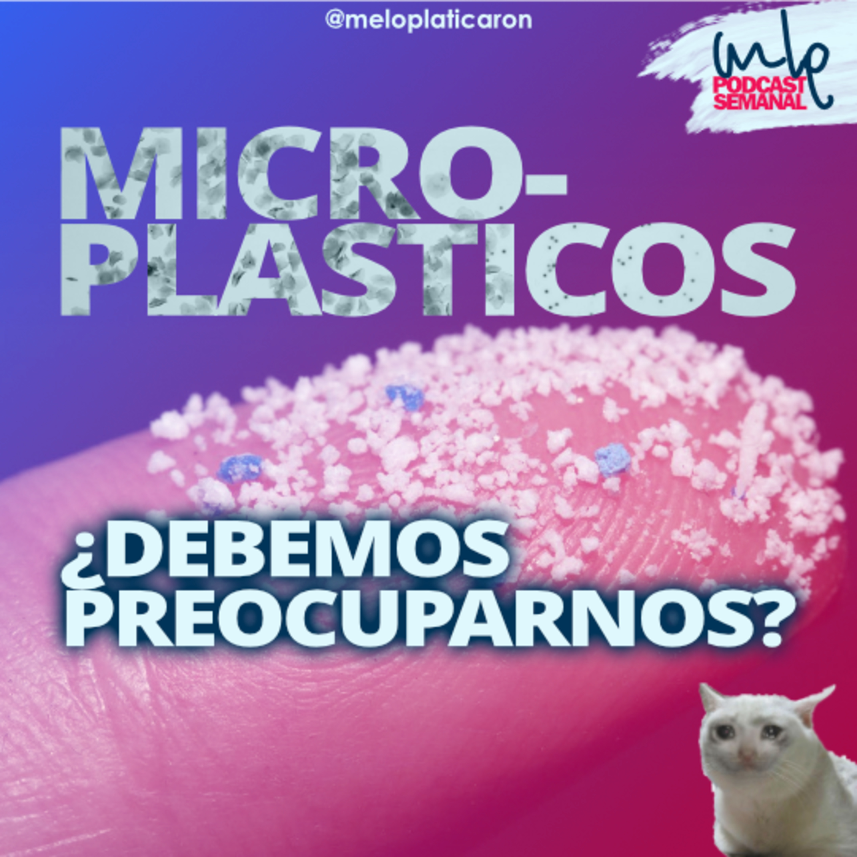 MLP - ME LO PLATICARON!