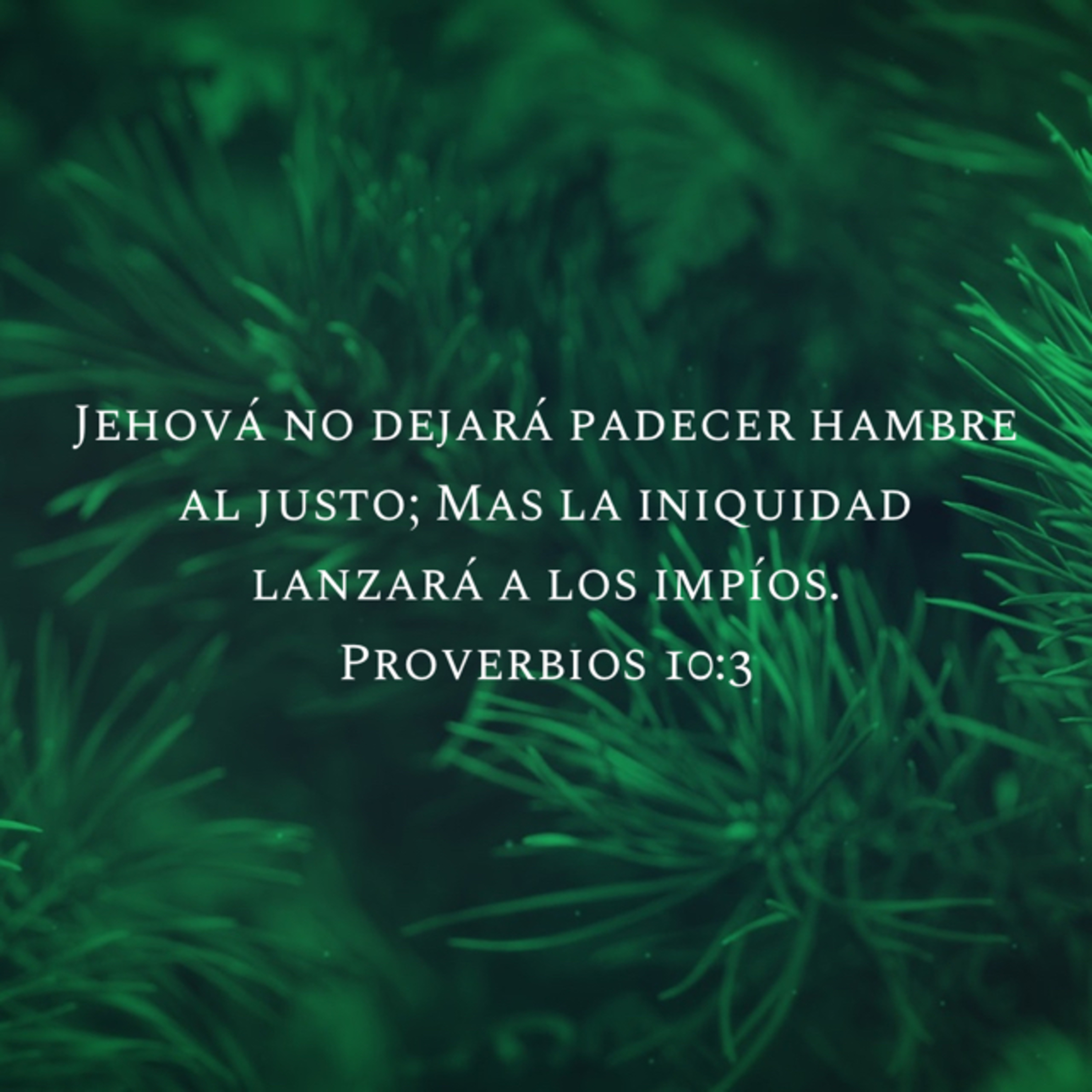 Esp #04/10 Proverbios 10 episode artwork