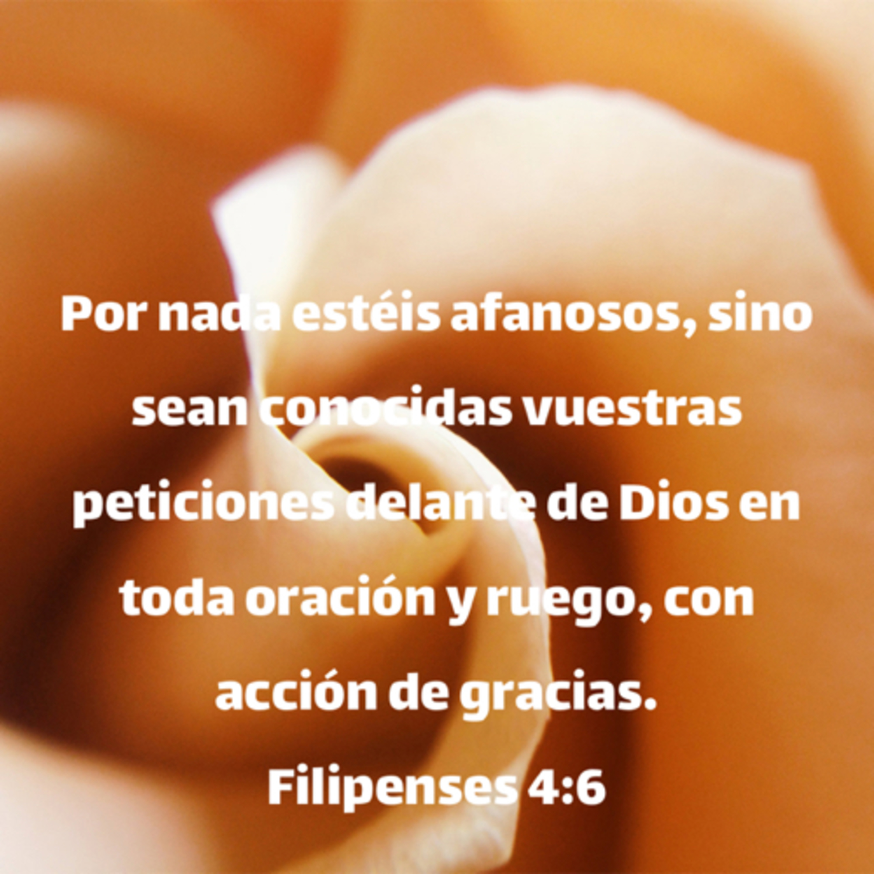 Español #05/19 Corazón agradecido  episode artwork