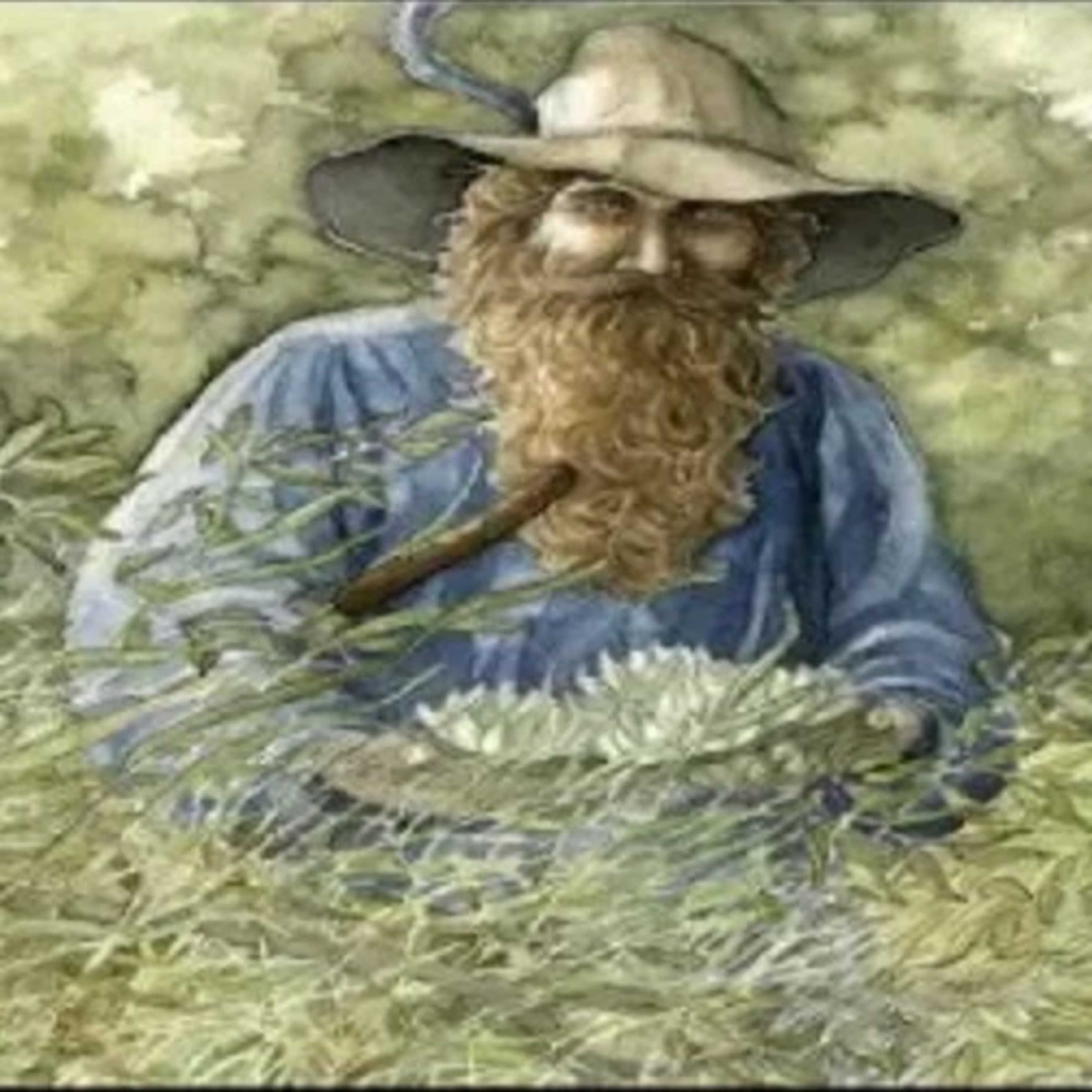 Histórias Da Terra Média