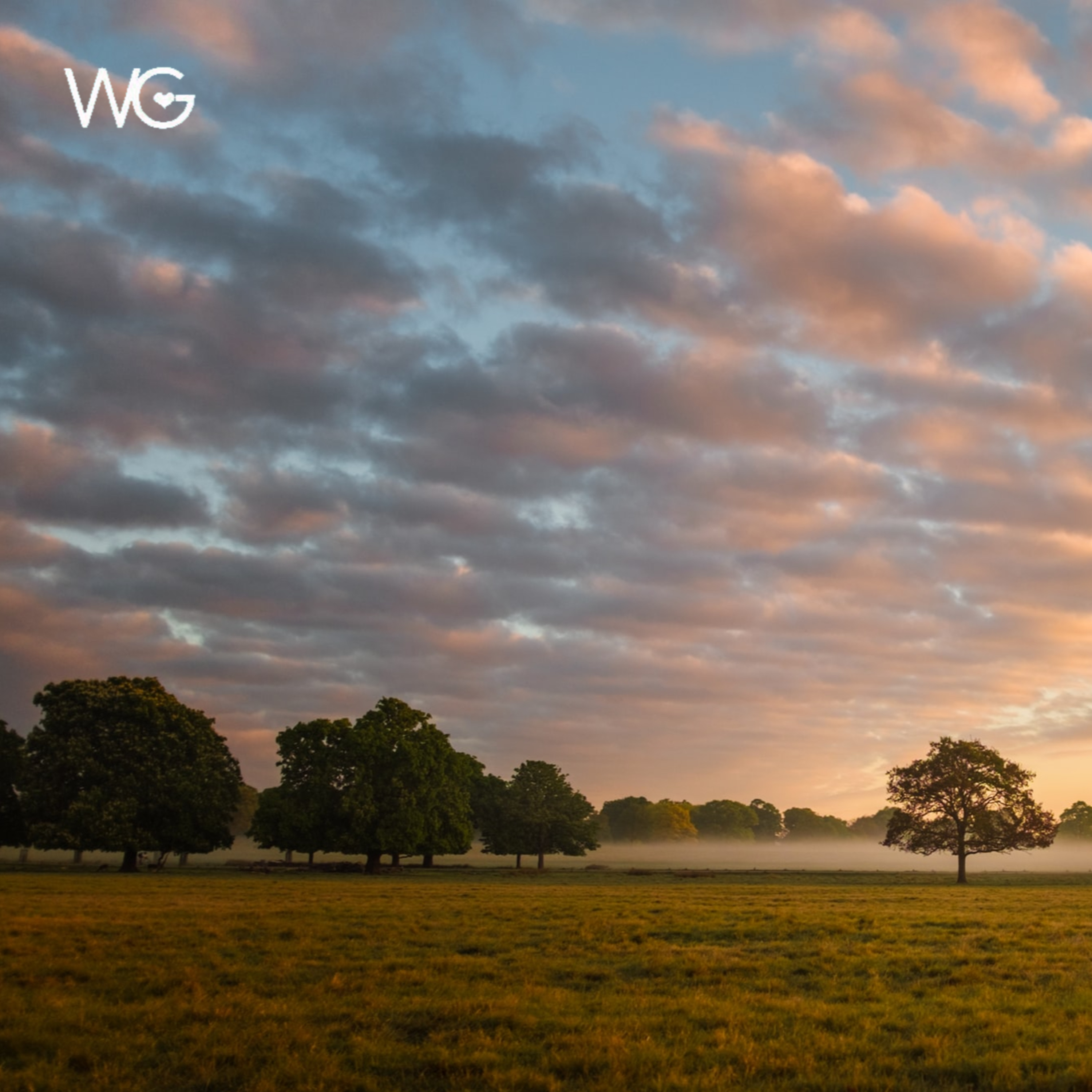 The Way Of Tommirror