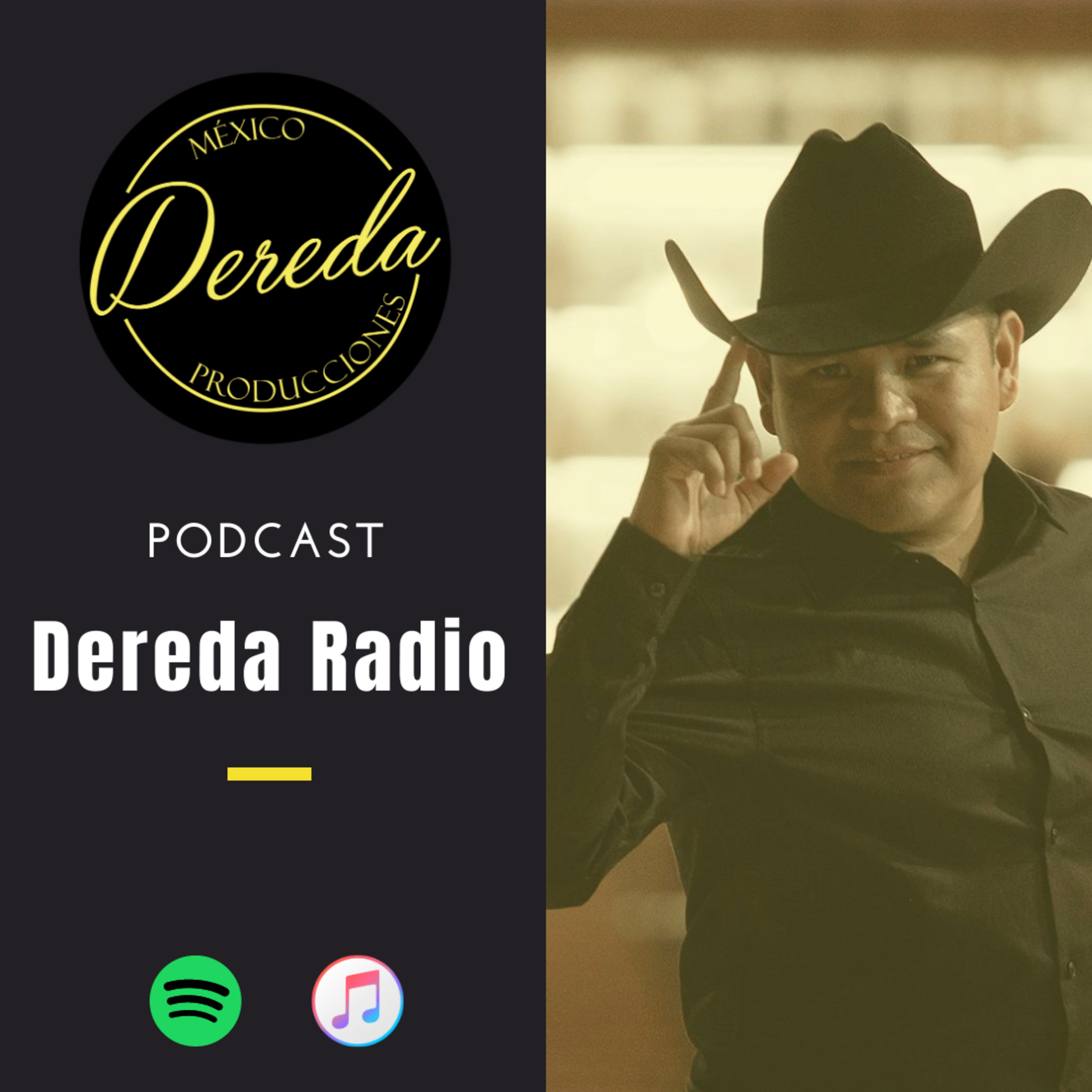Vicarenasradio