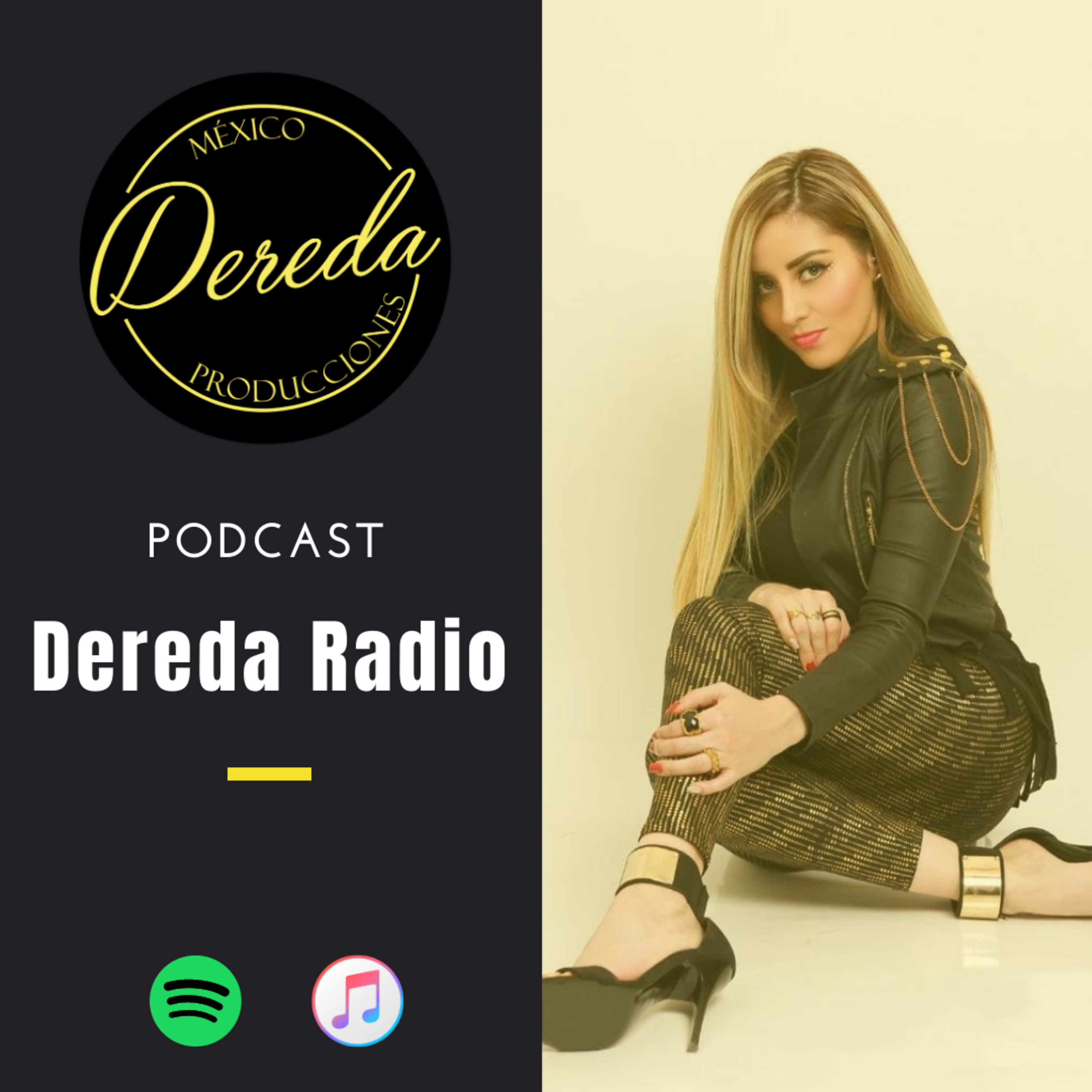 Portada de Vicarenasradio