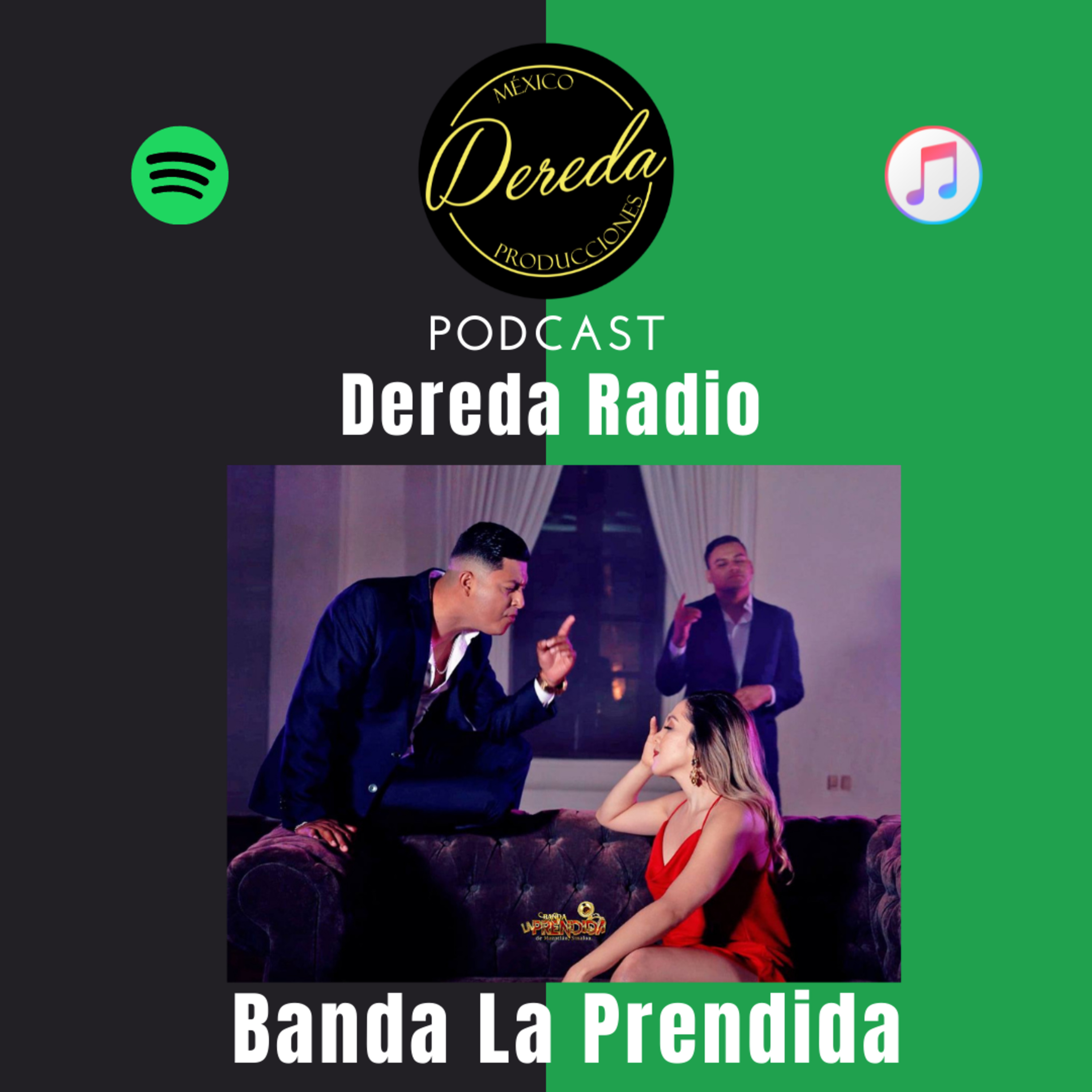 Portada de Vicarenasradio