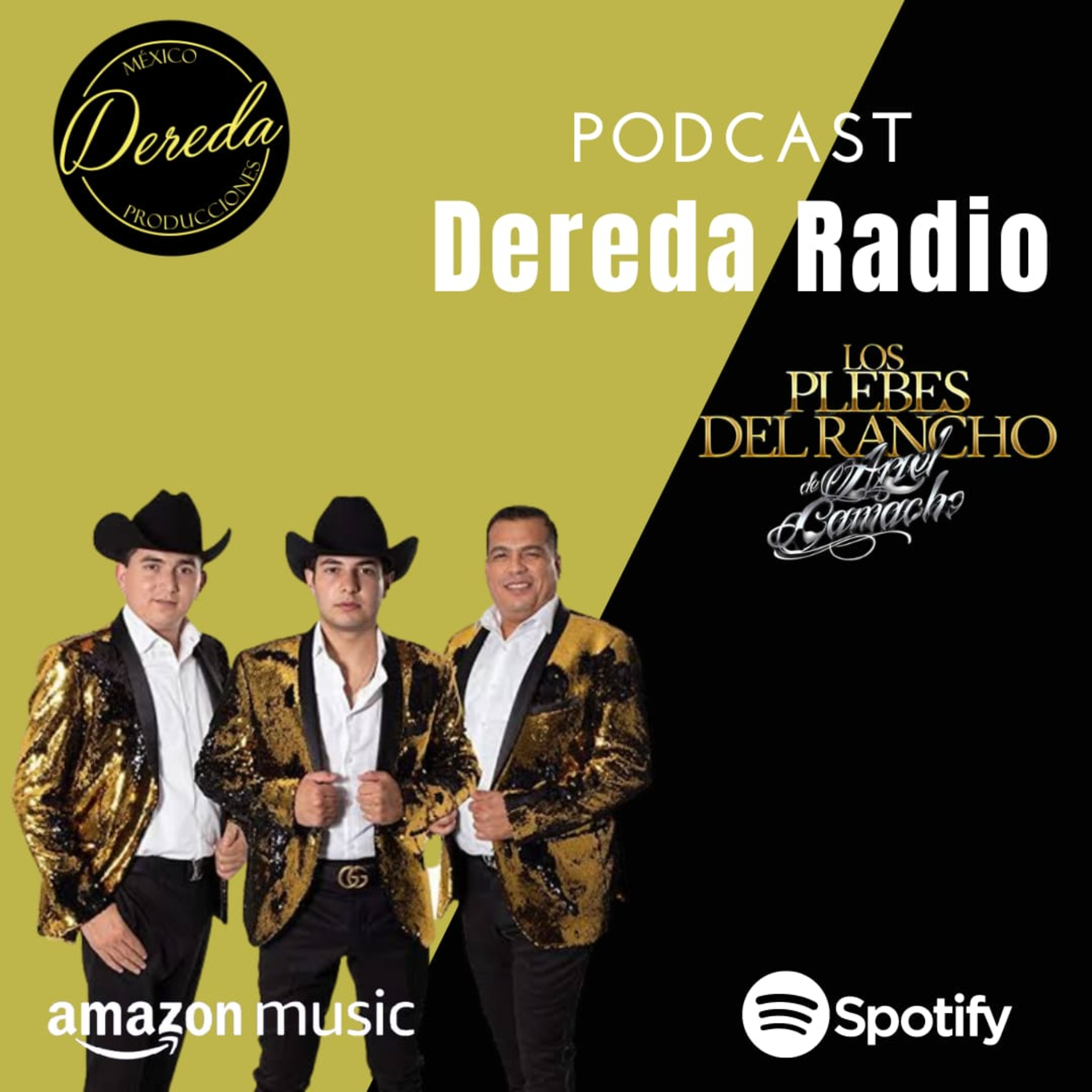 Vicarenasradio