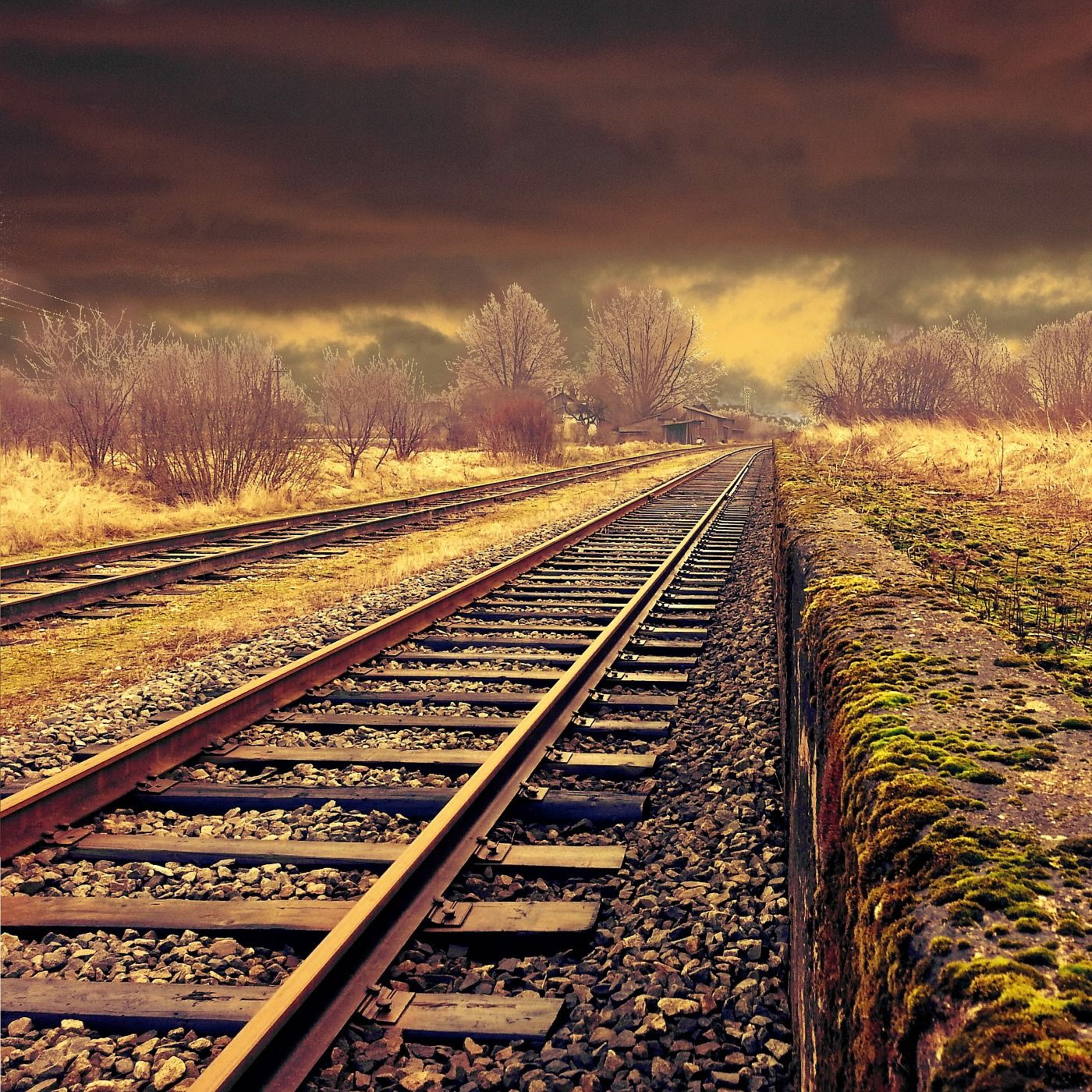 SEC Filings and Rail History episode artwork