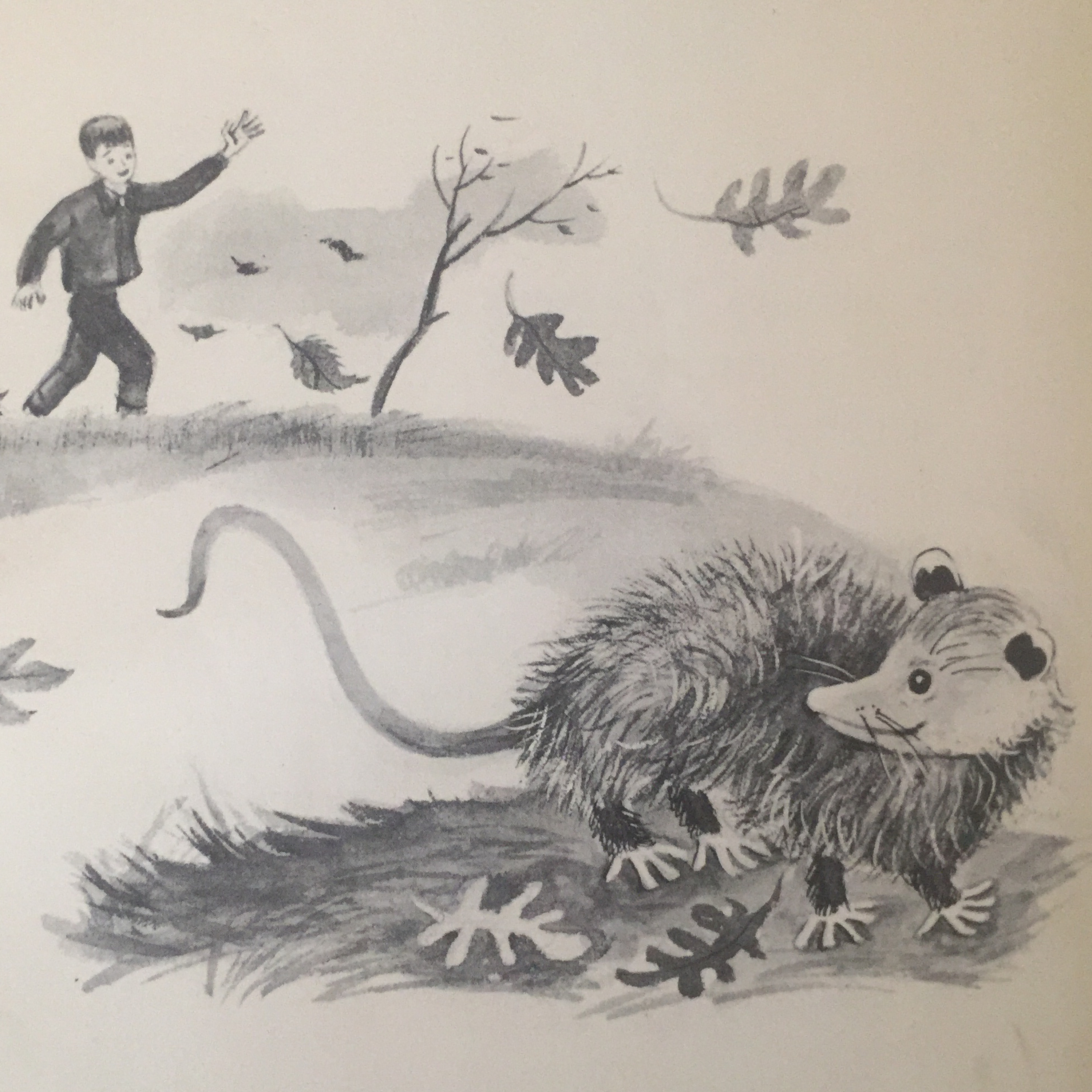 Playing Possum by Edward Eager  episode artwork