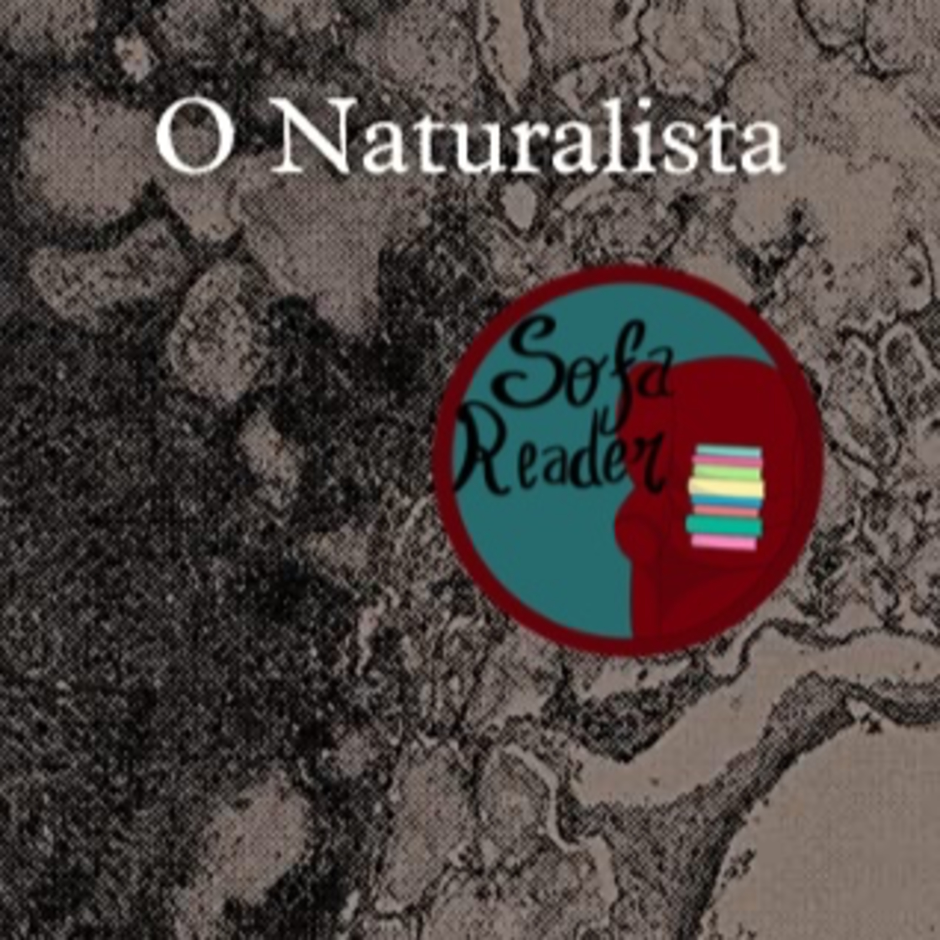 sofareader