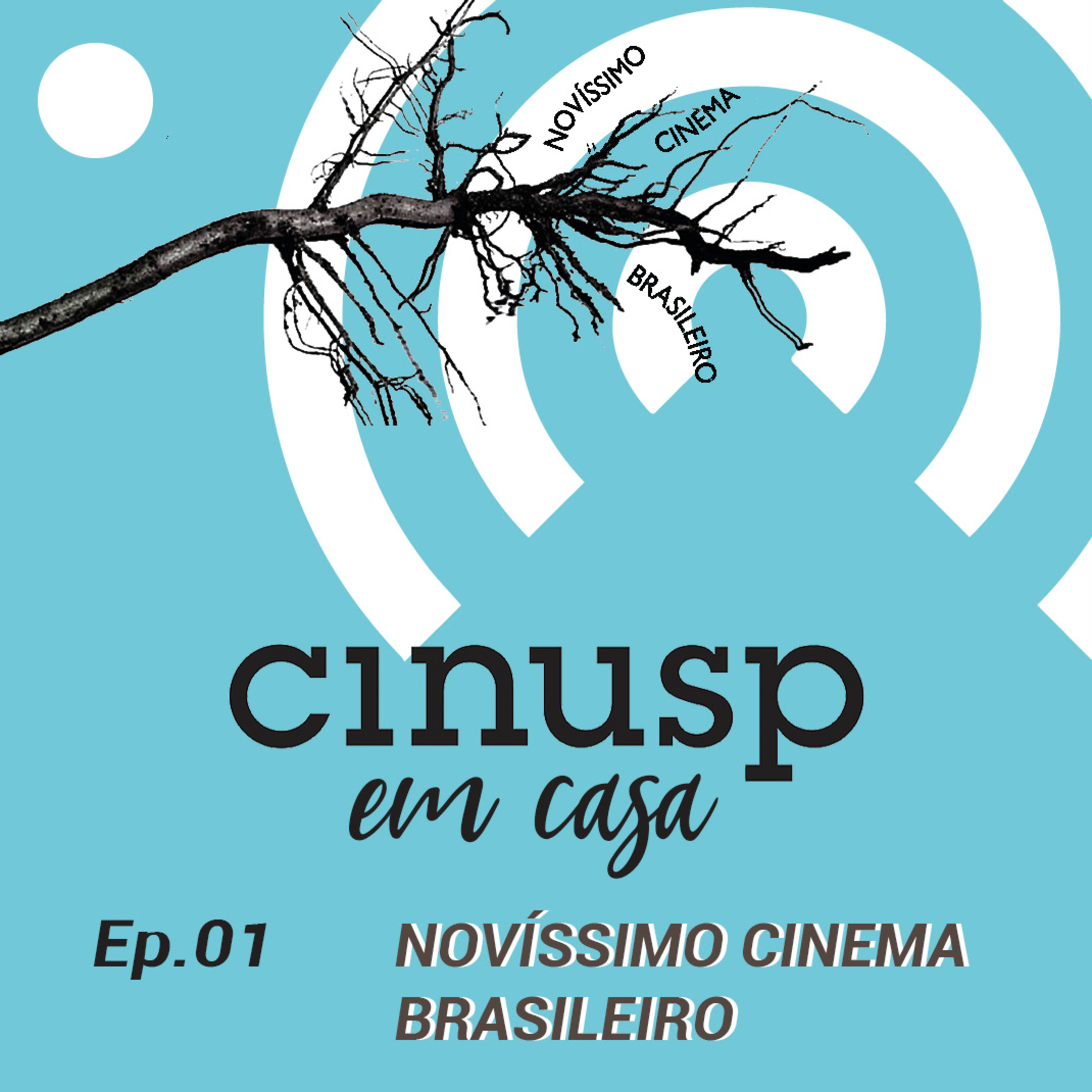 Cinusp em Casa
