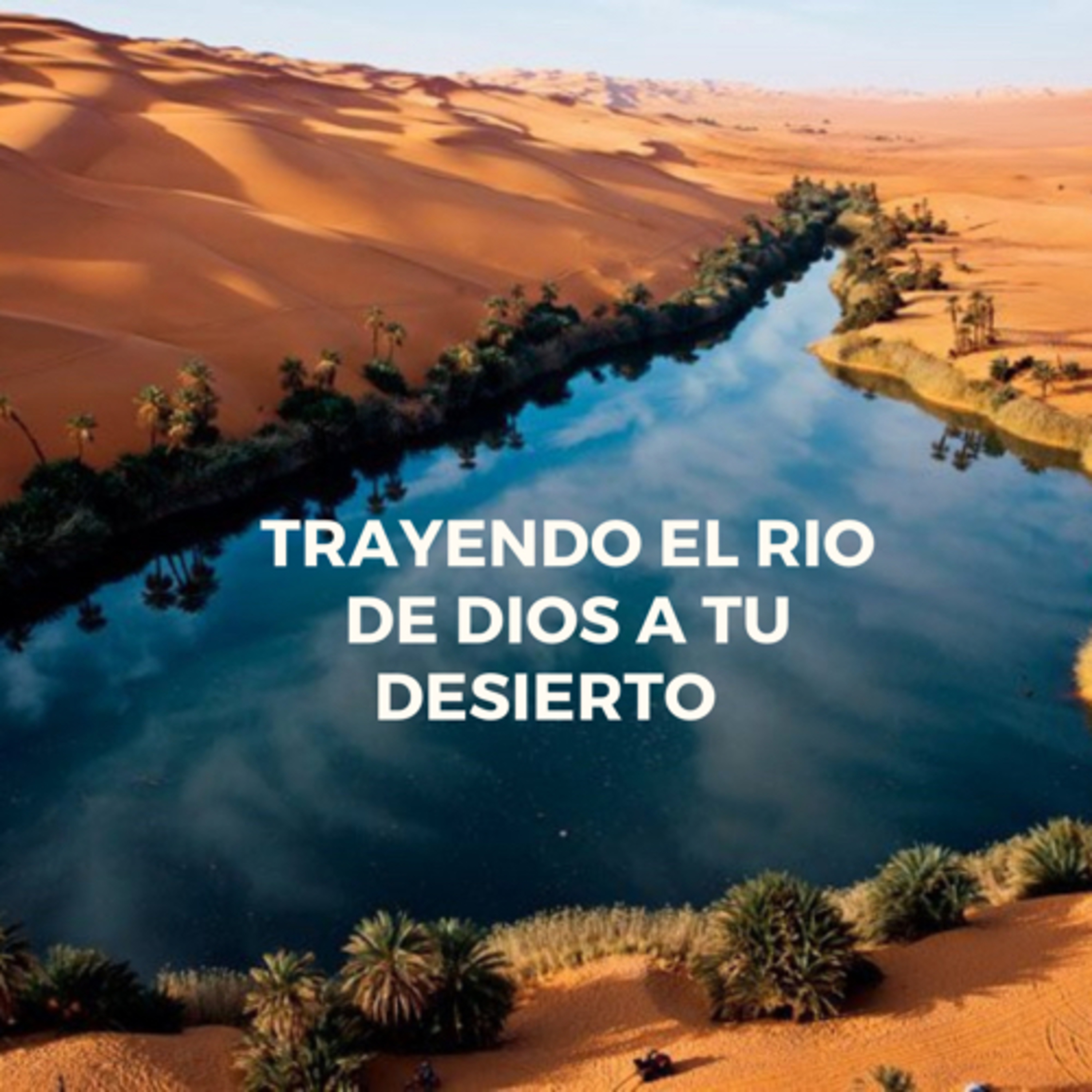 Portada de Pastor Roberto Pino