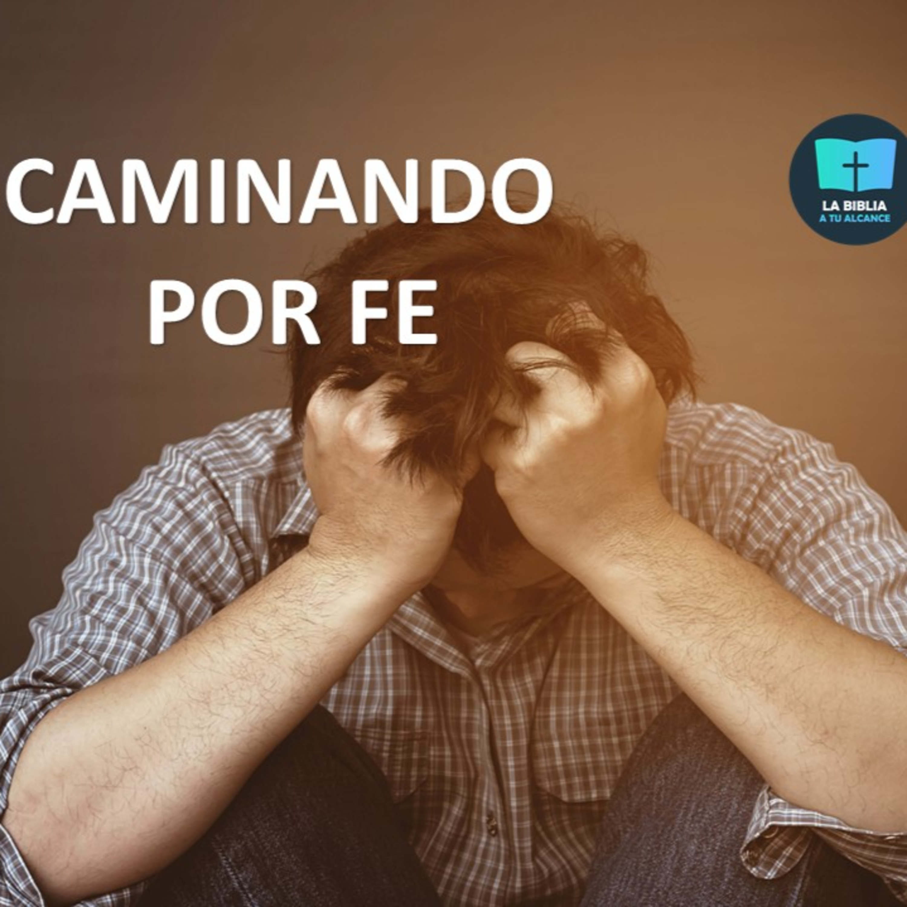 La Biblia a tu Alcance