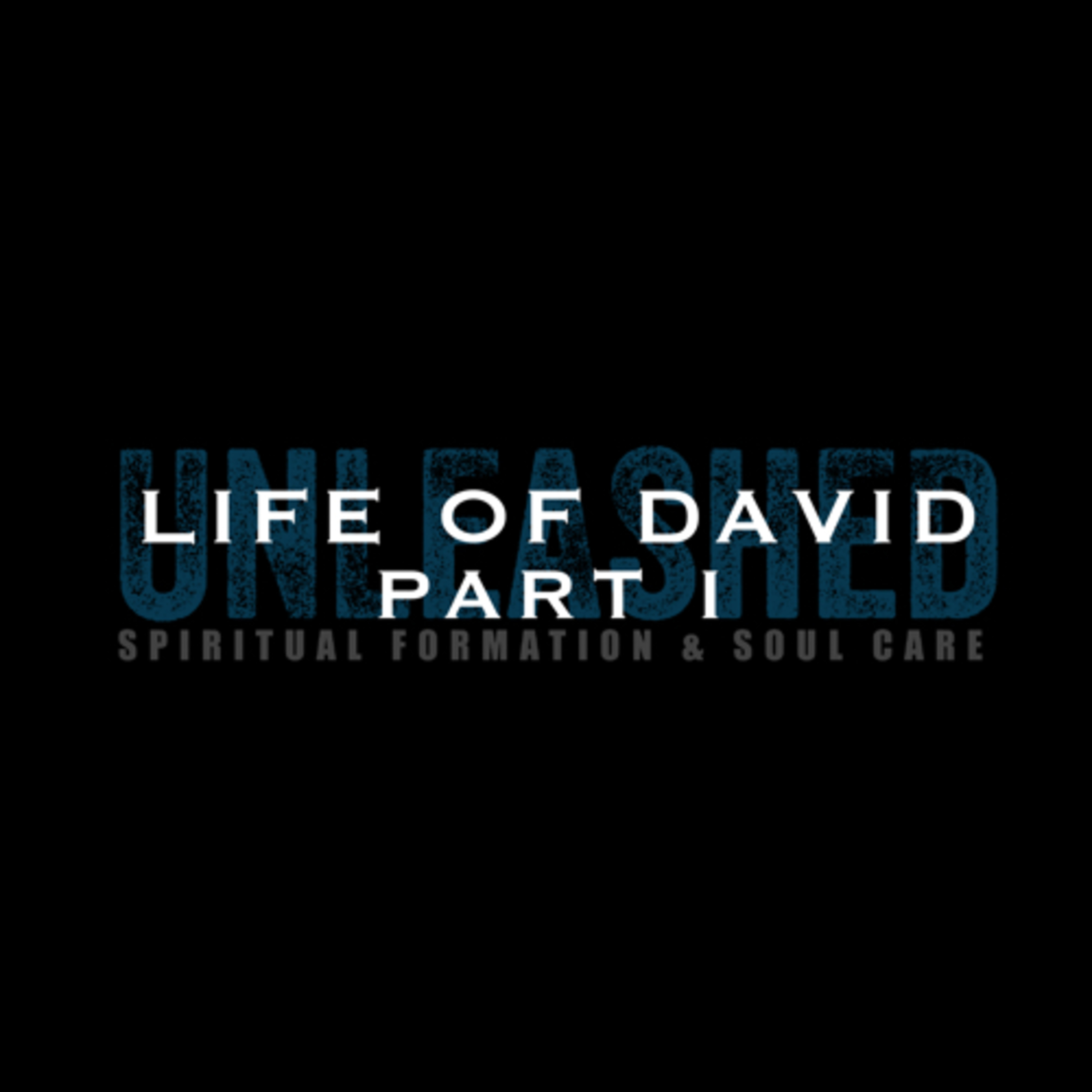 UNLEASHED: Spiritual Formation & Soul Care