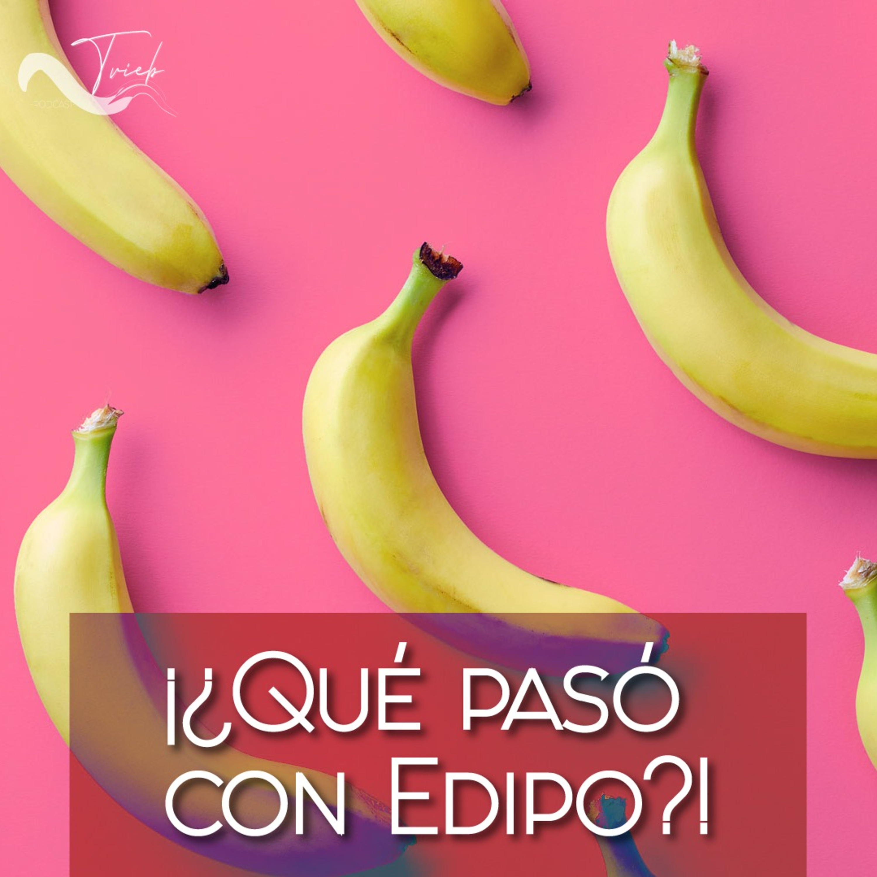 ¡¿Qué pasó con Edipo?! episode artwork