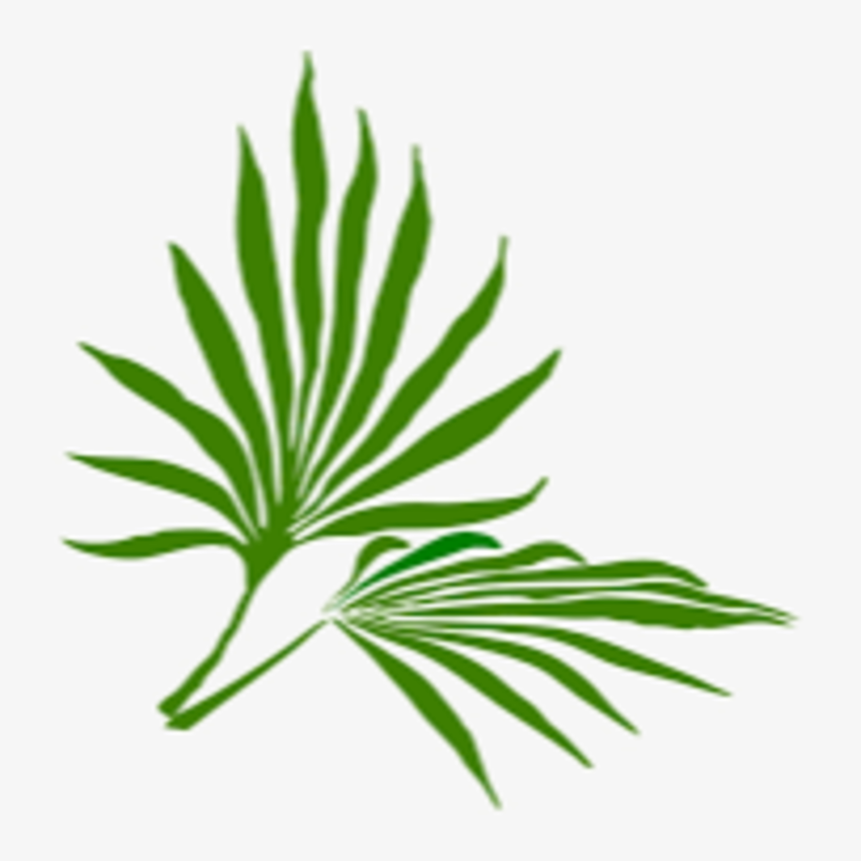 CUCC Worship Resources
