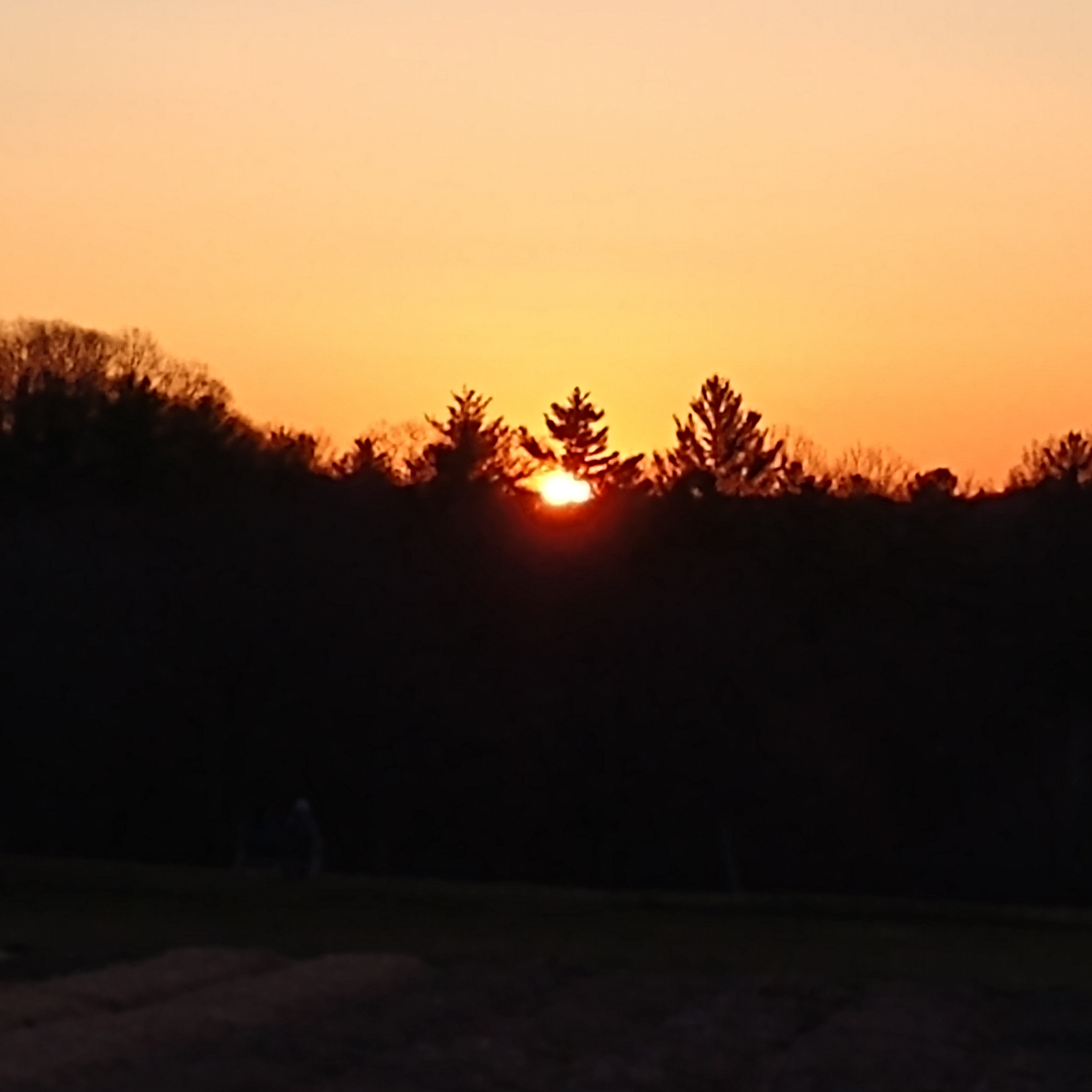 CUCC Worship Resources