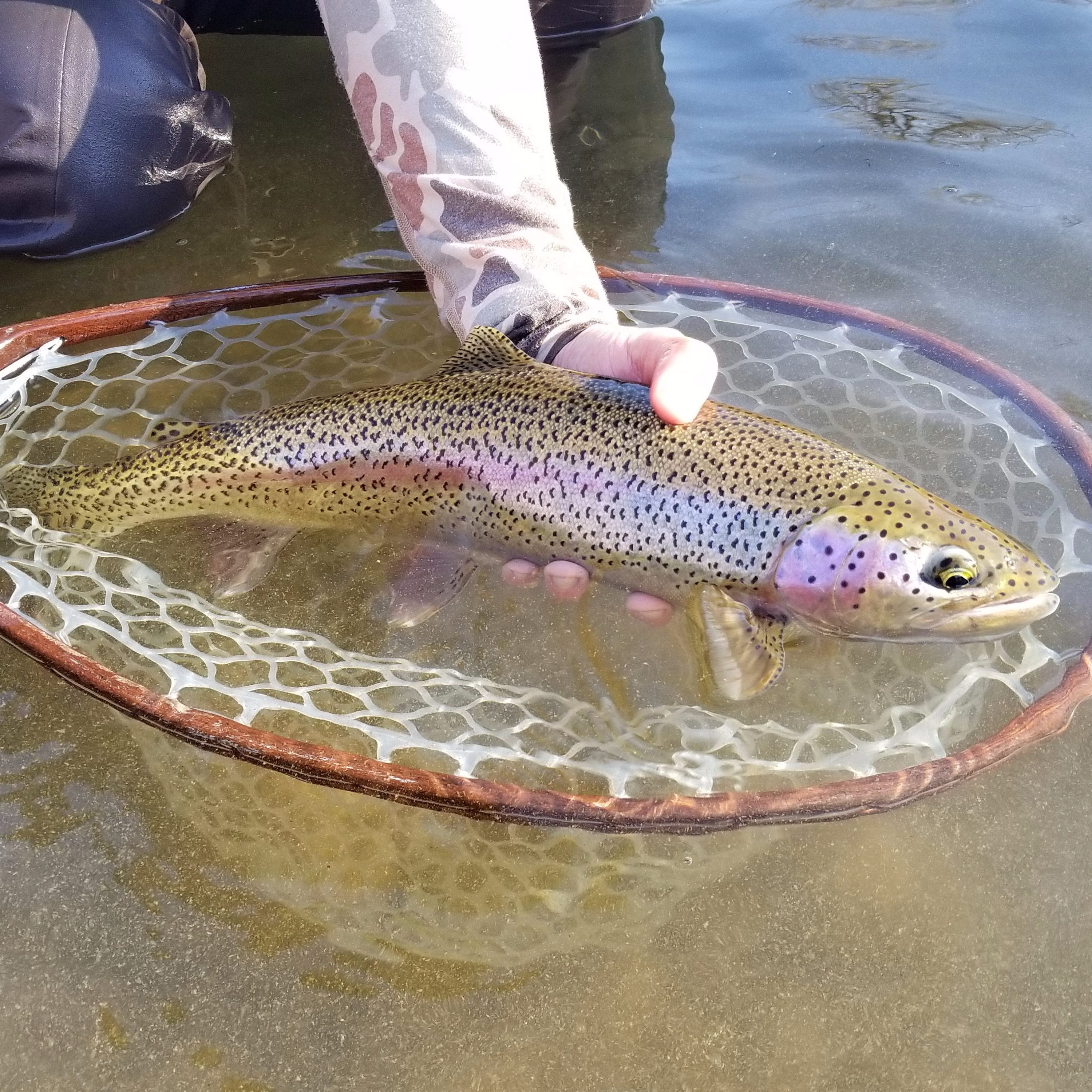 The Ellensburg Angler Podcast