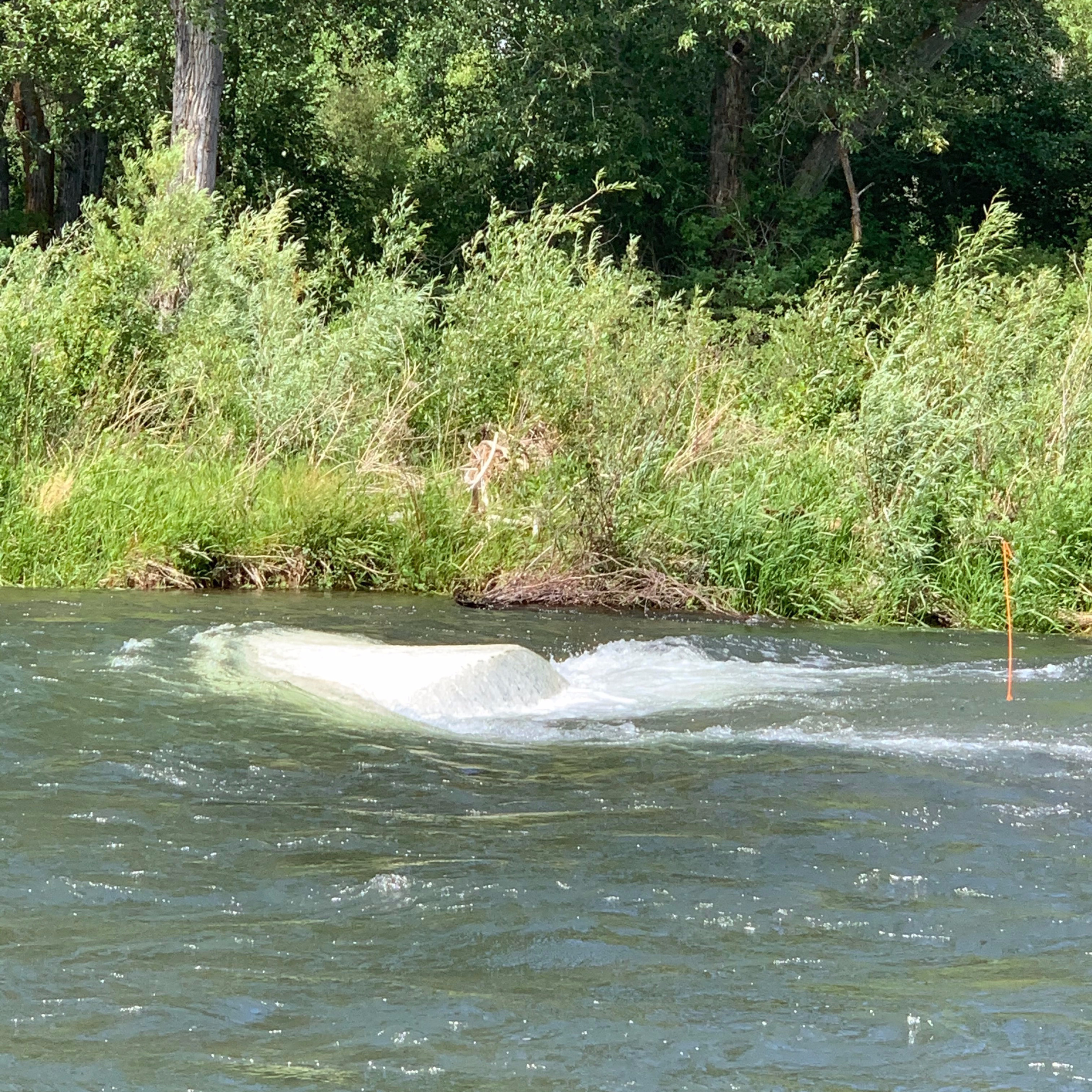 The Ellensburg Angler Podcast