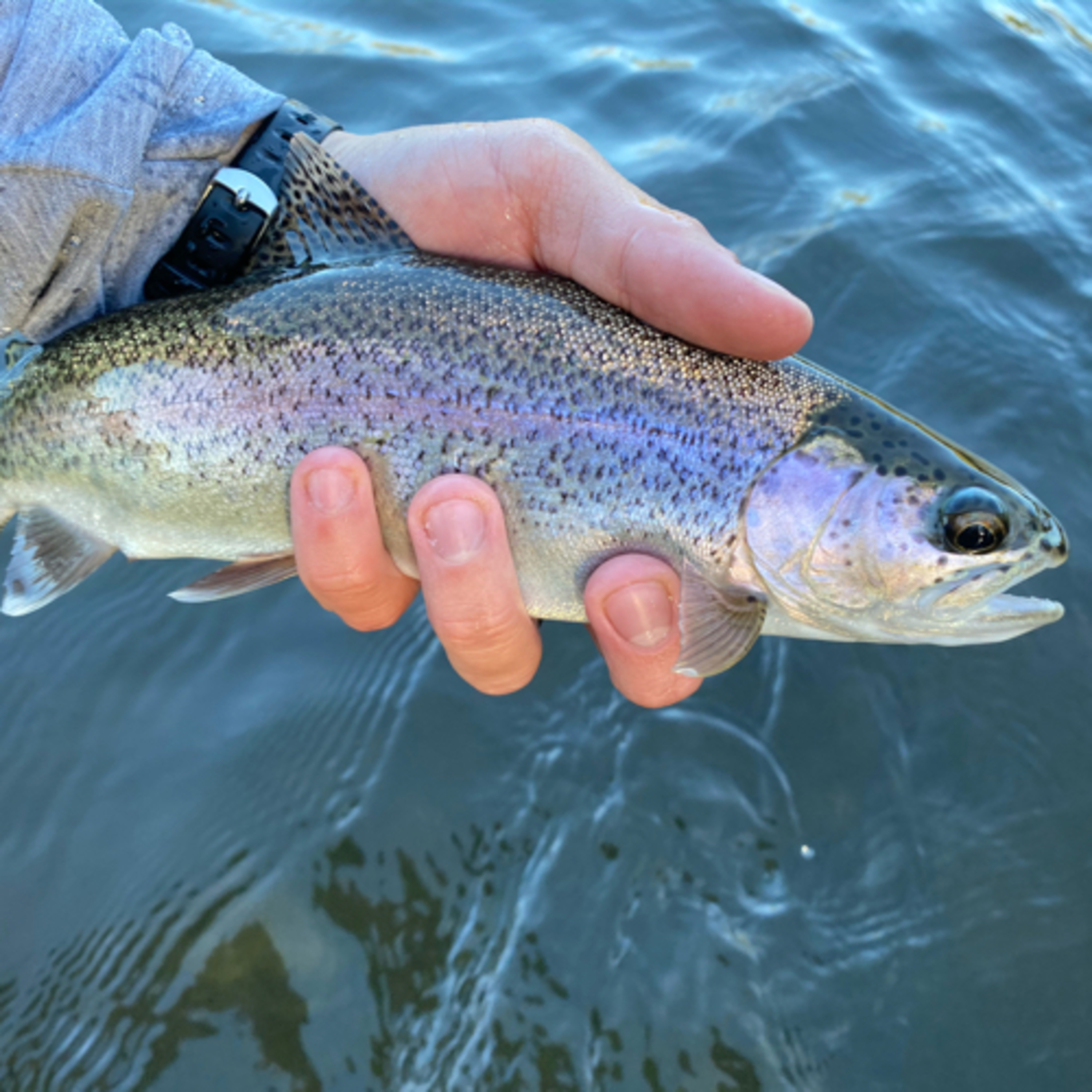 The Ellensburg Angler Podcast