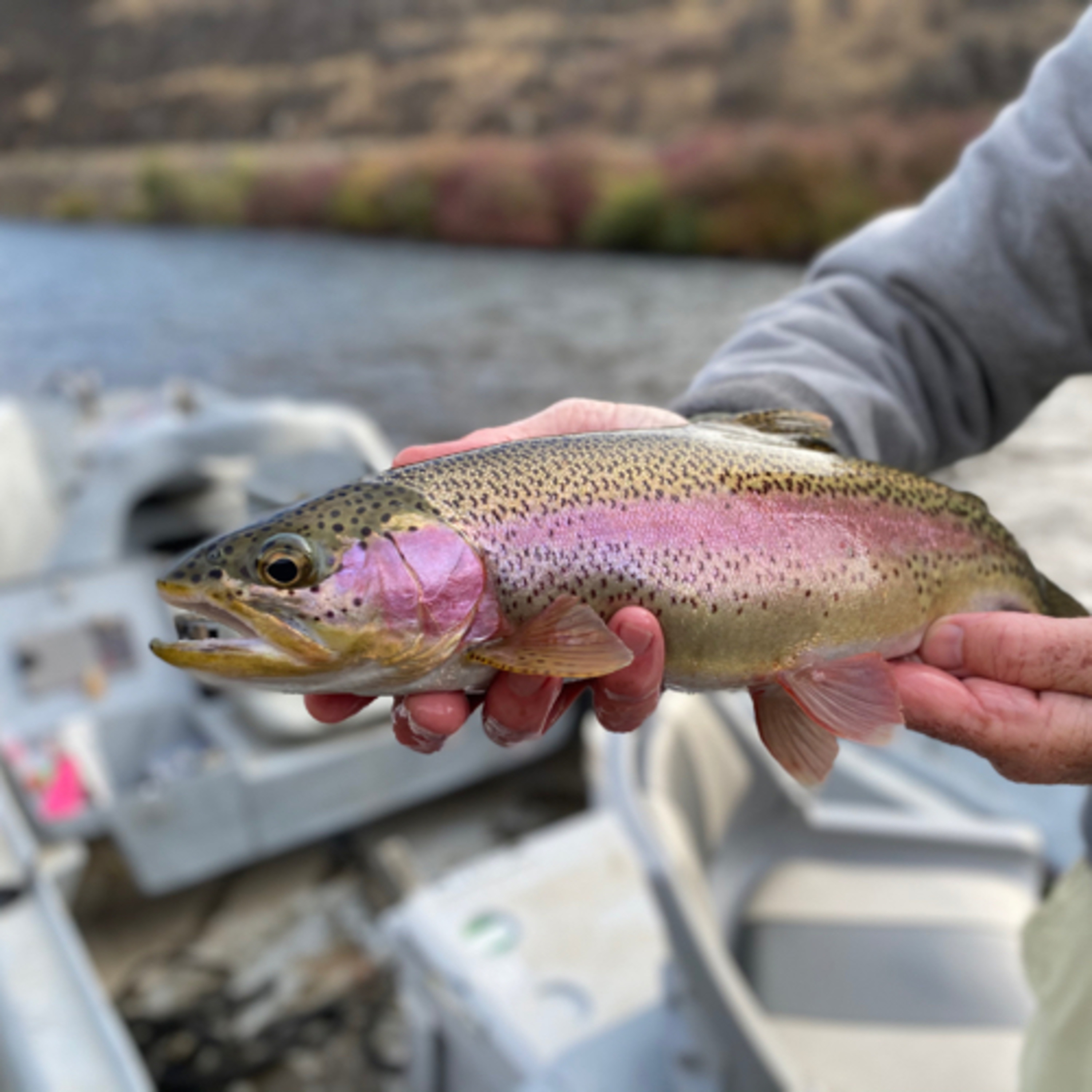 The Ellensburg Angler Podcast