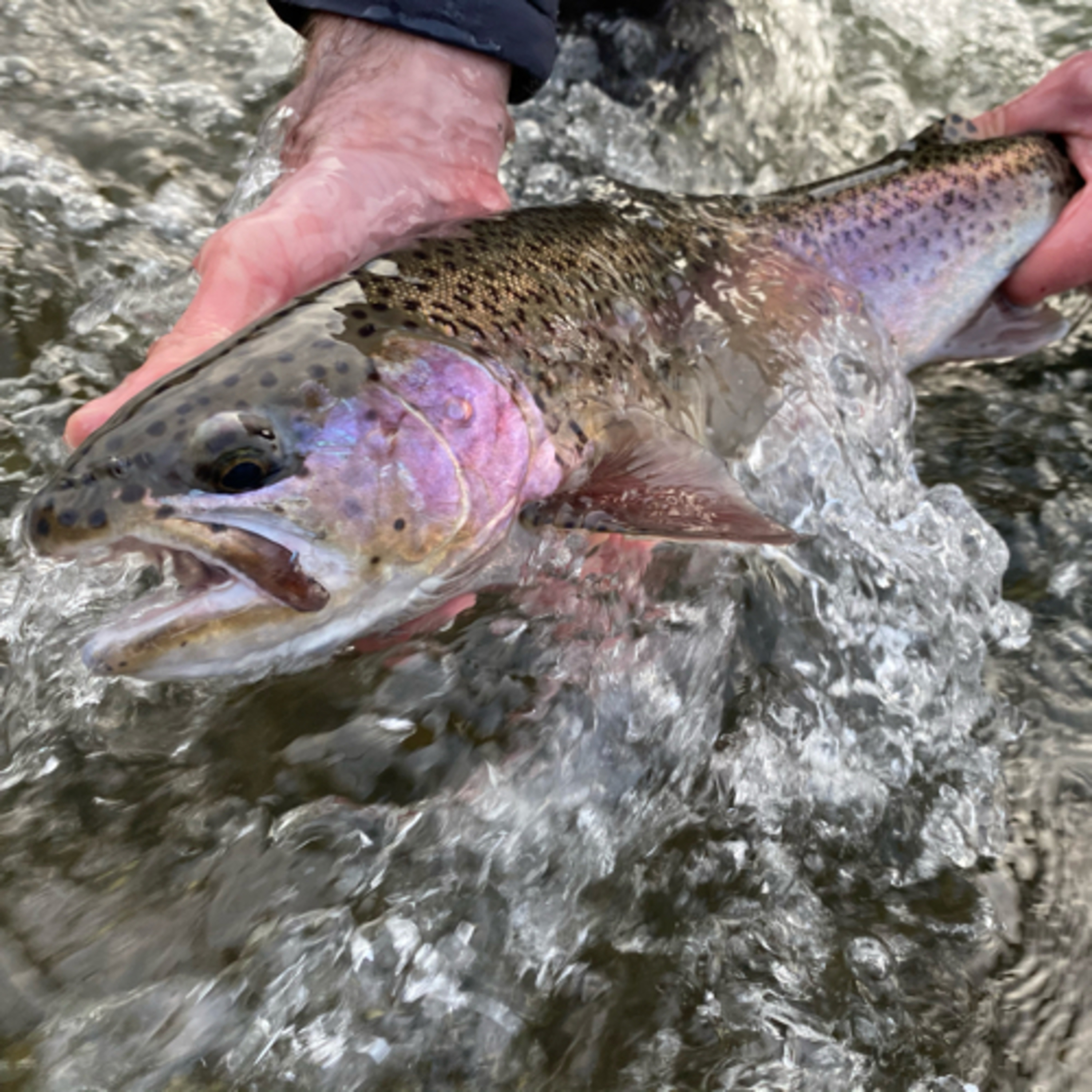 The Ellensburg Angler Podcast