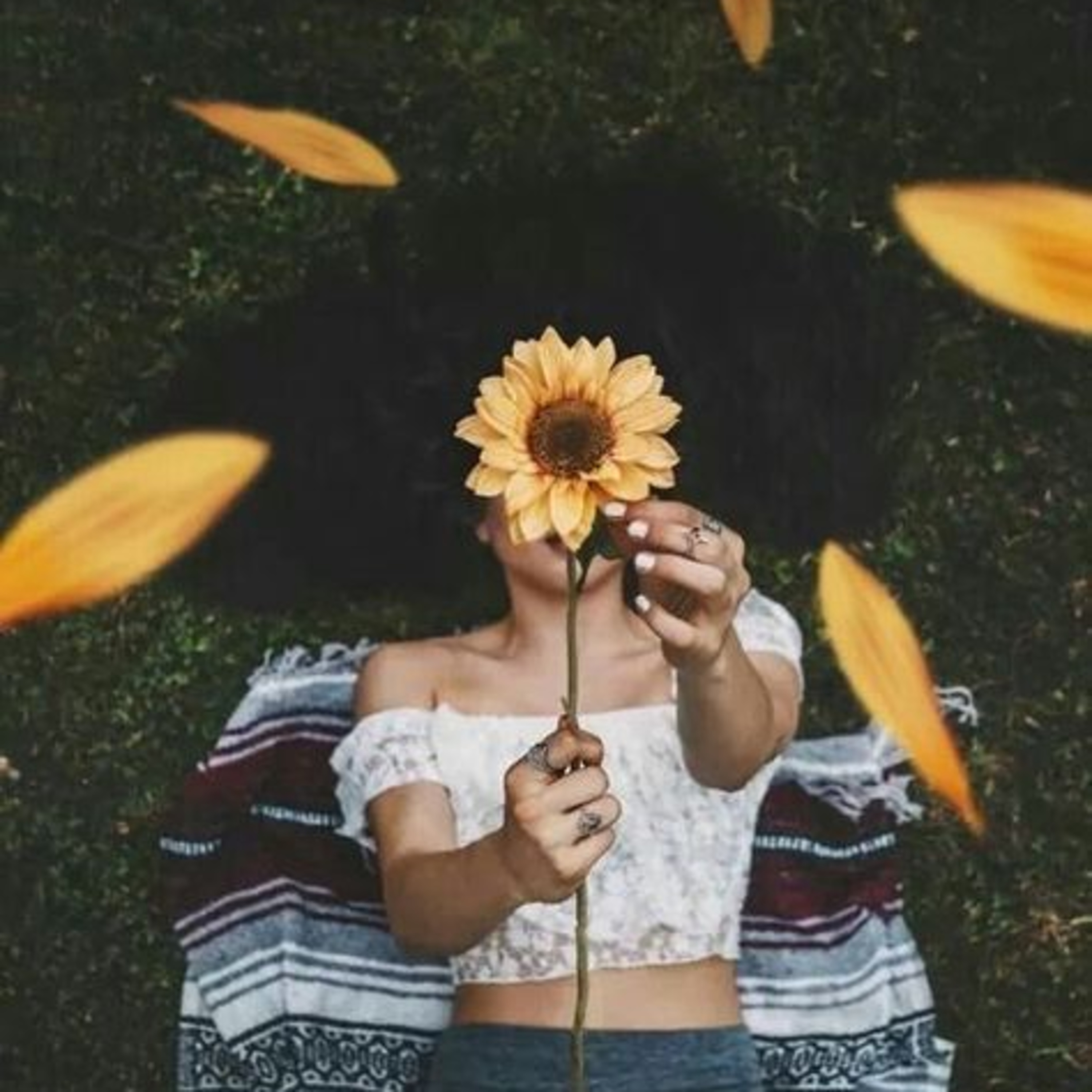 How to Find your Purpose In Life  episode artwork