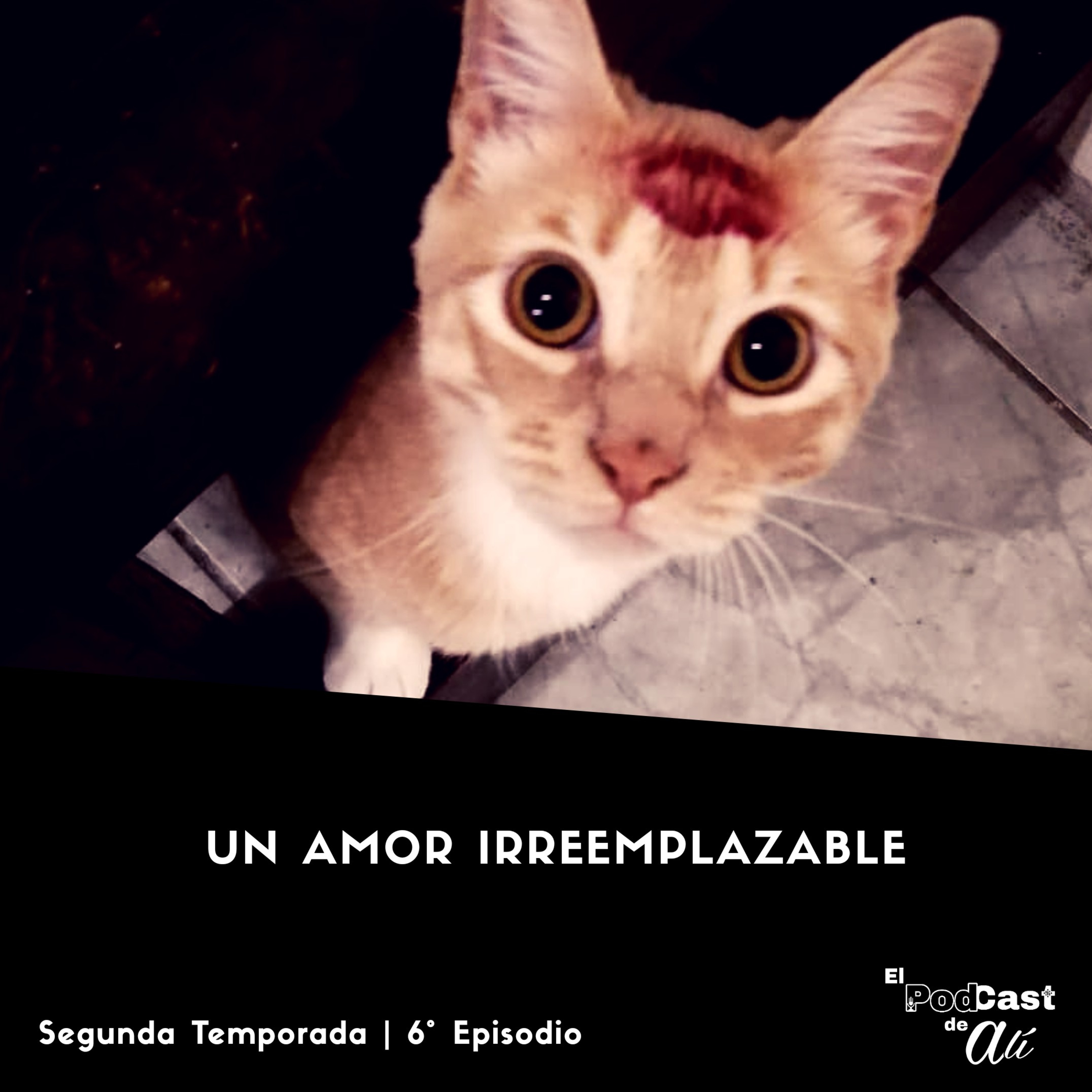 El Podcast de Alí