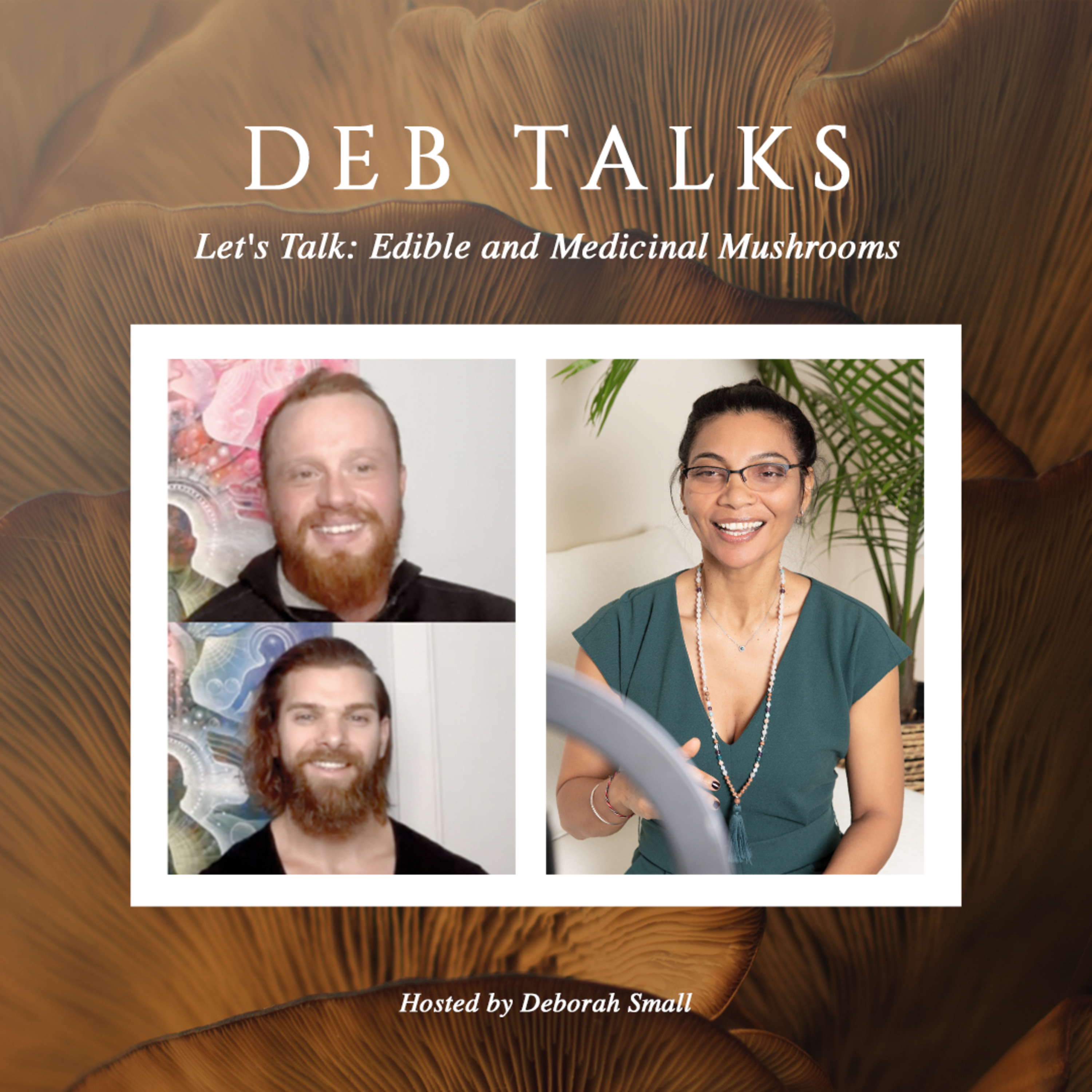 Let's Talk: Edible and Medicinal Mushrooms episode artwork