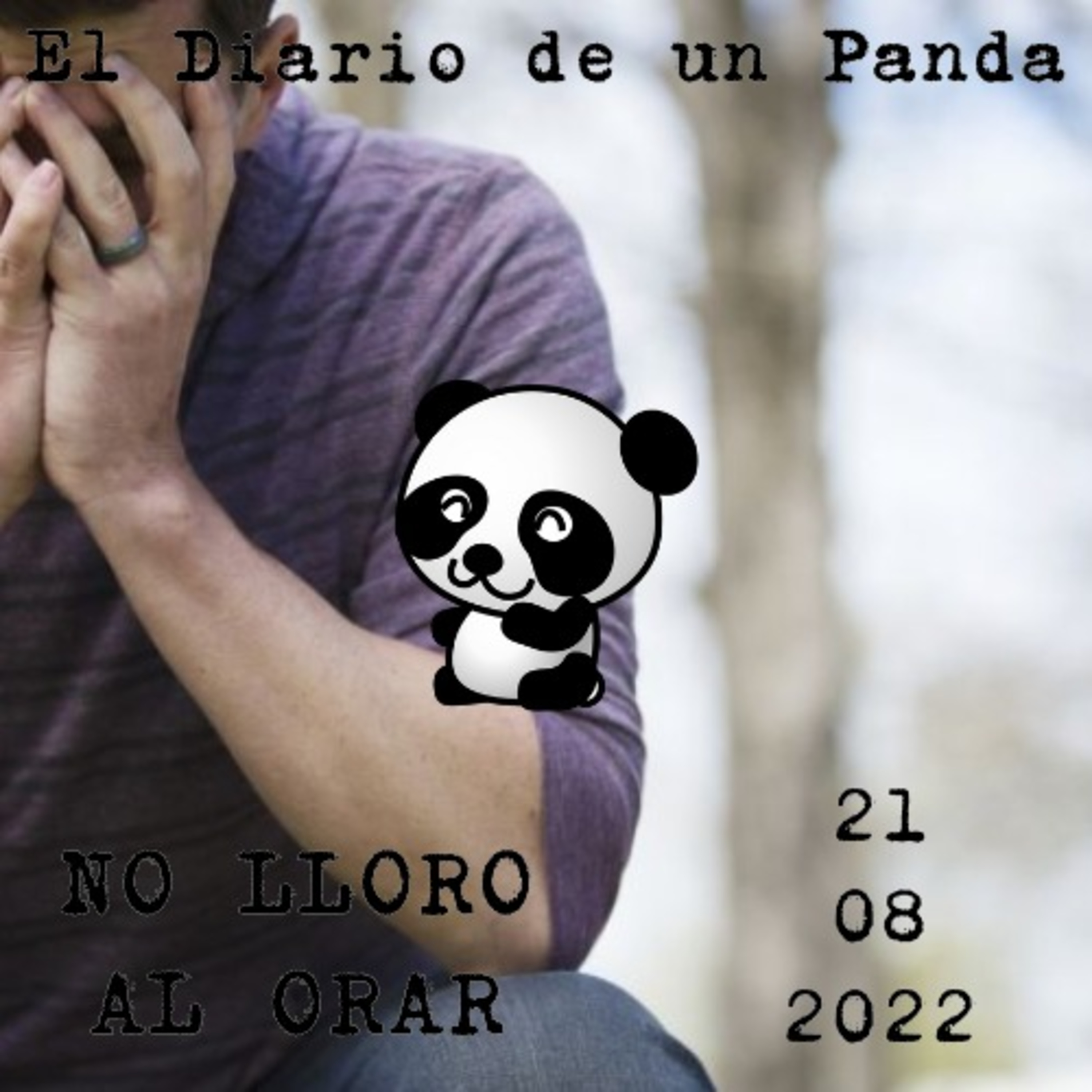 El Diario de un Panda
