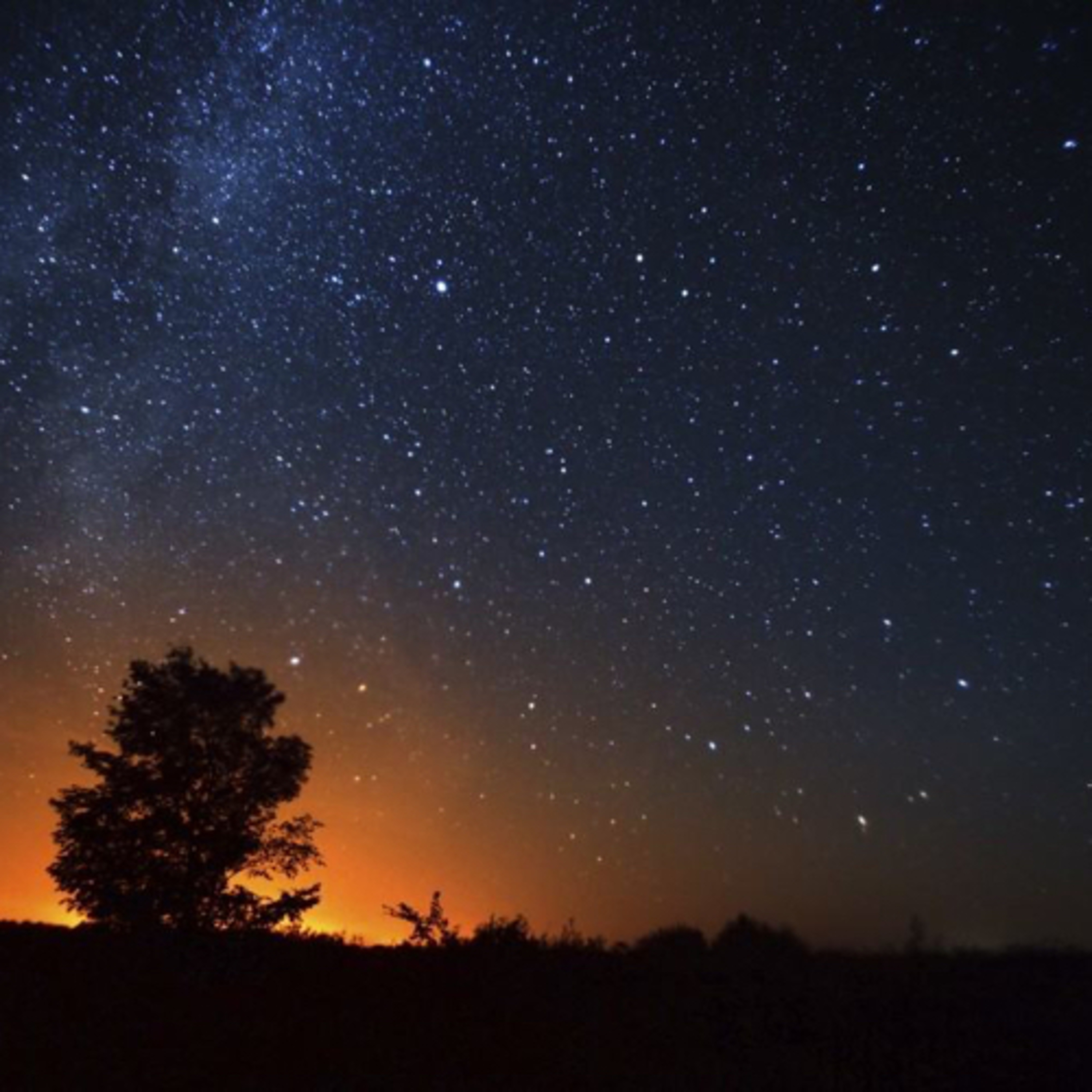 The Night Sky 💫 ⭐️