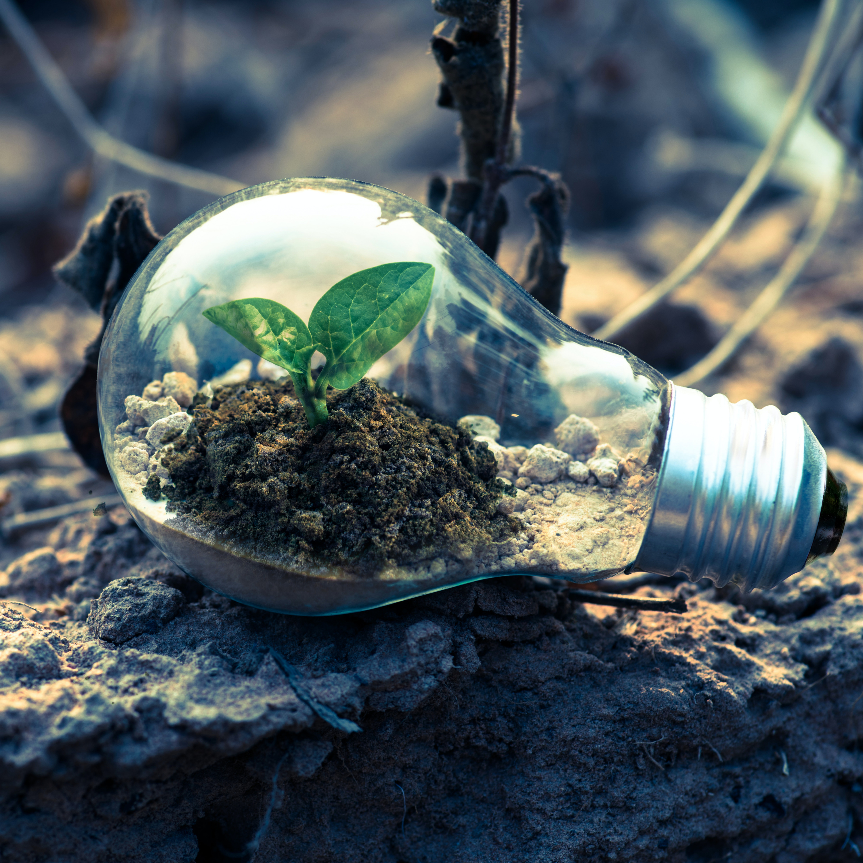 Radio Latina en Dublin