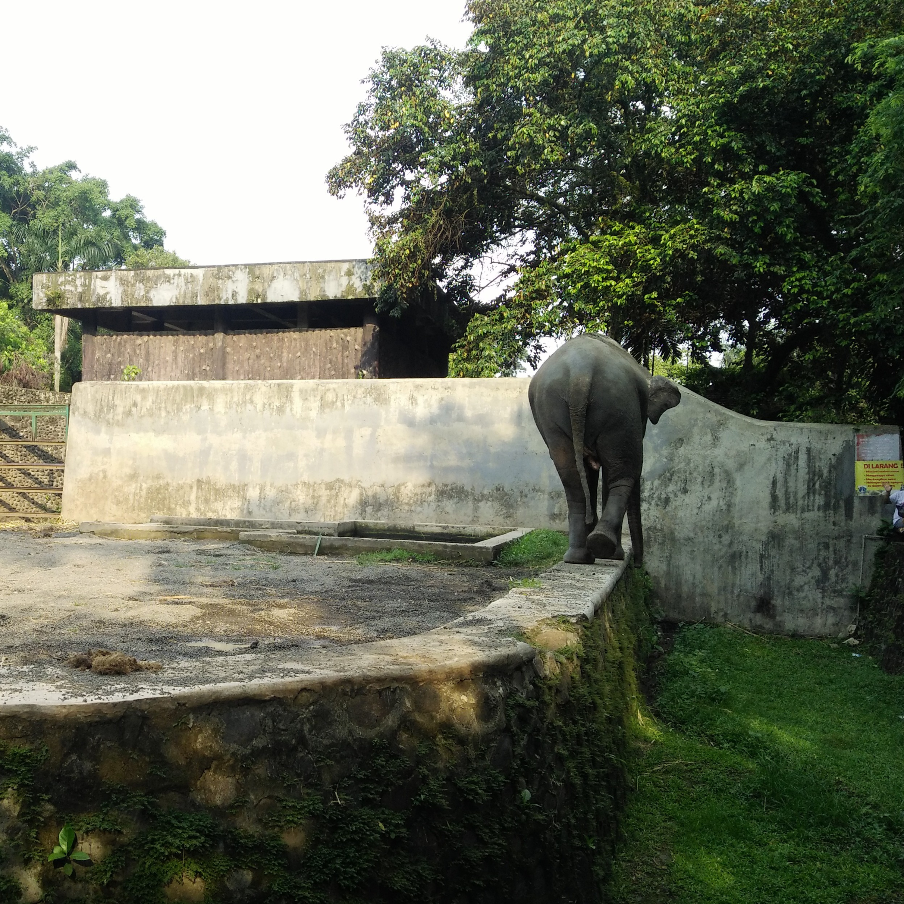 Aksara Kita