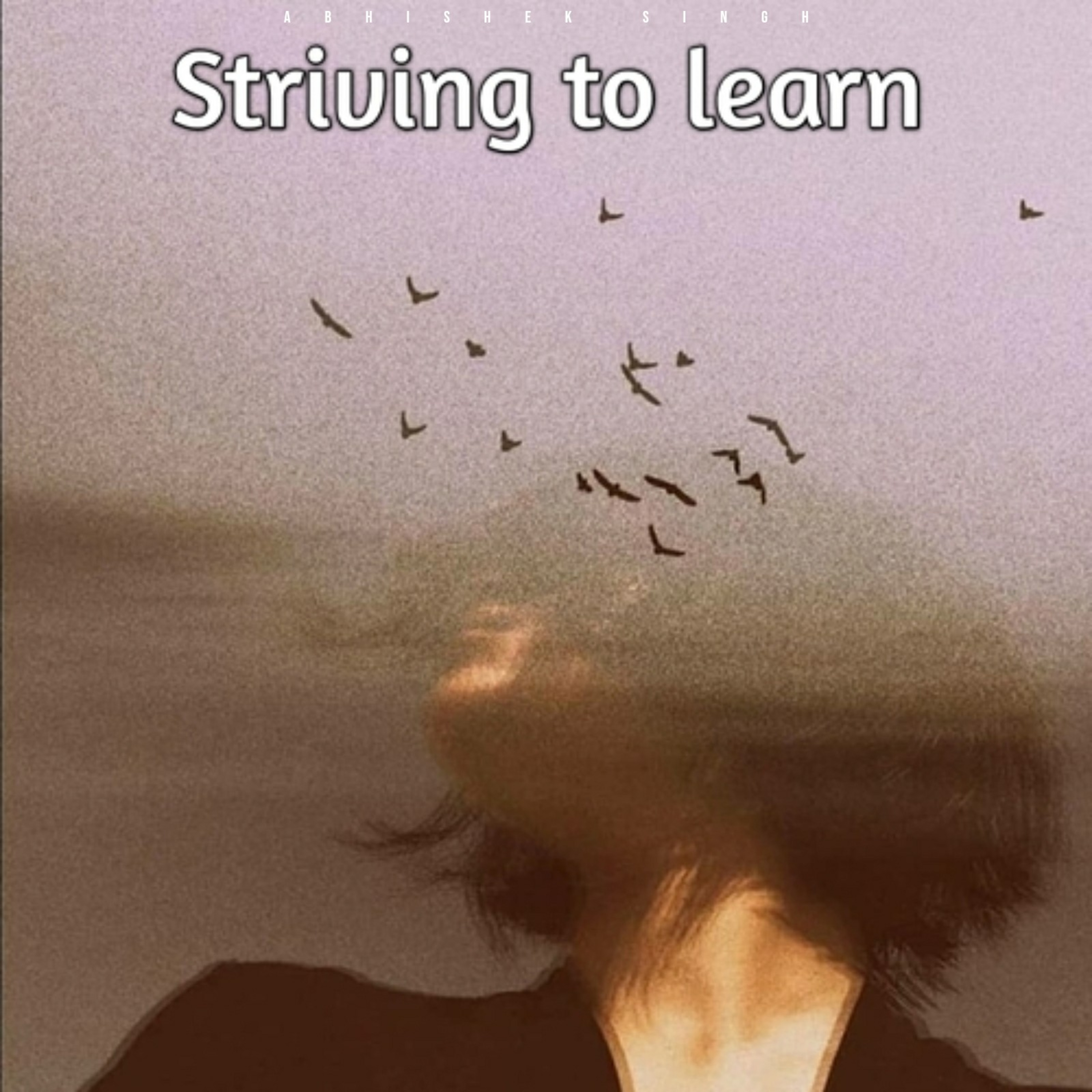 Striving to learn episode artwork