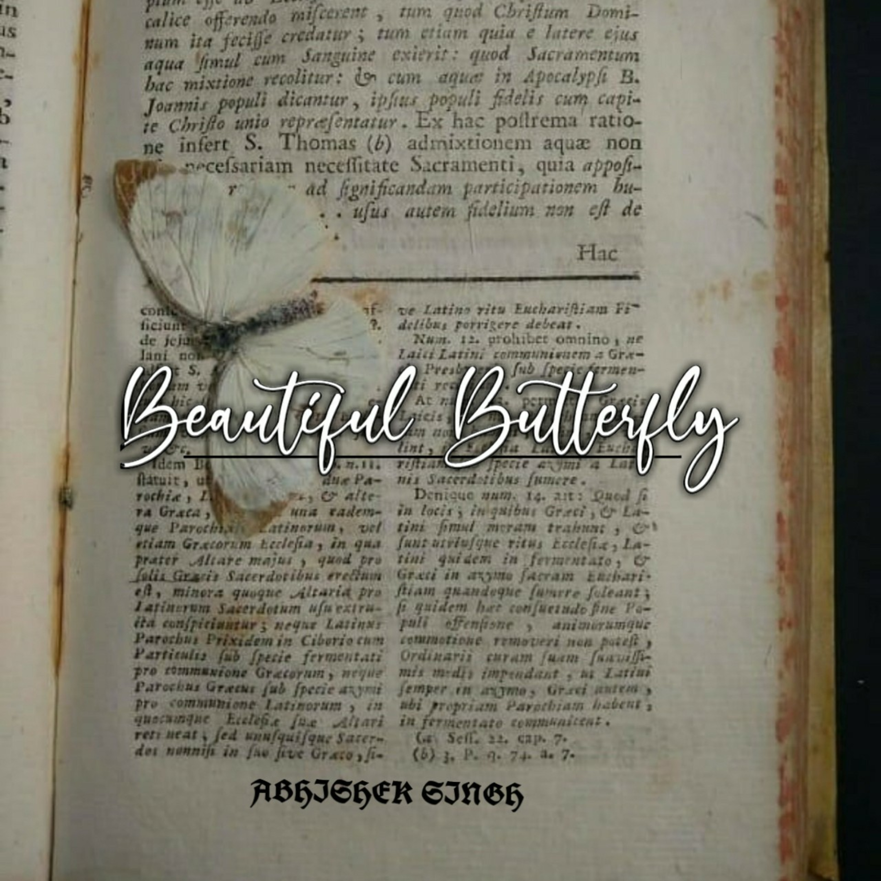 Beautiful Butterfly episode artwork