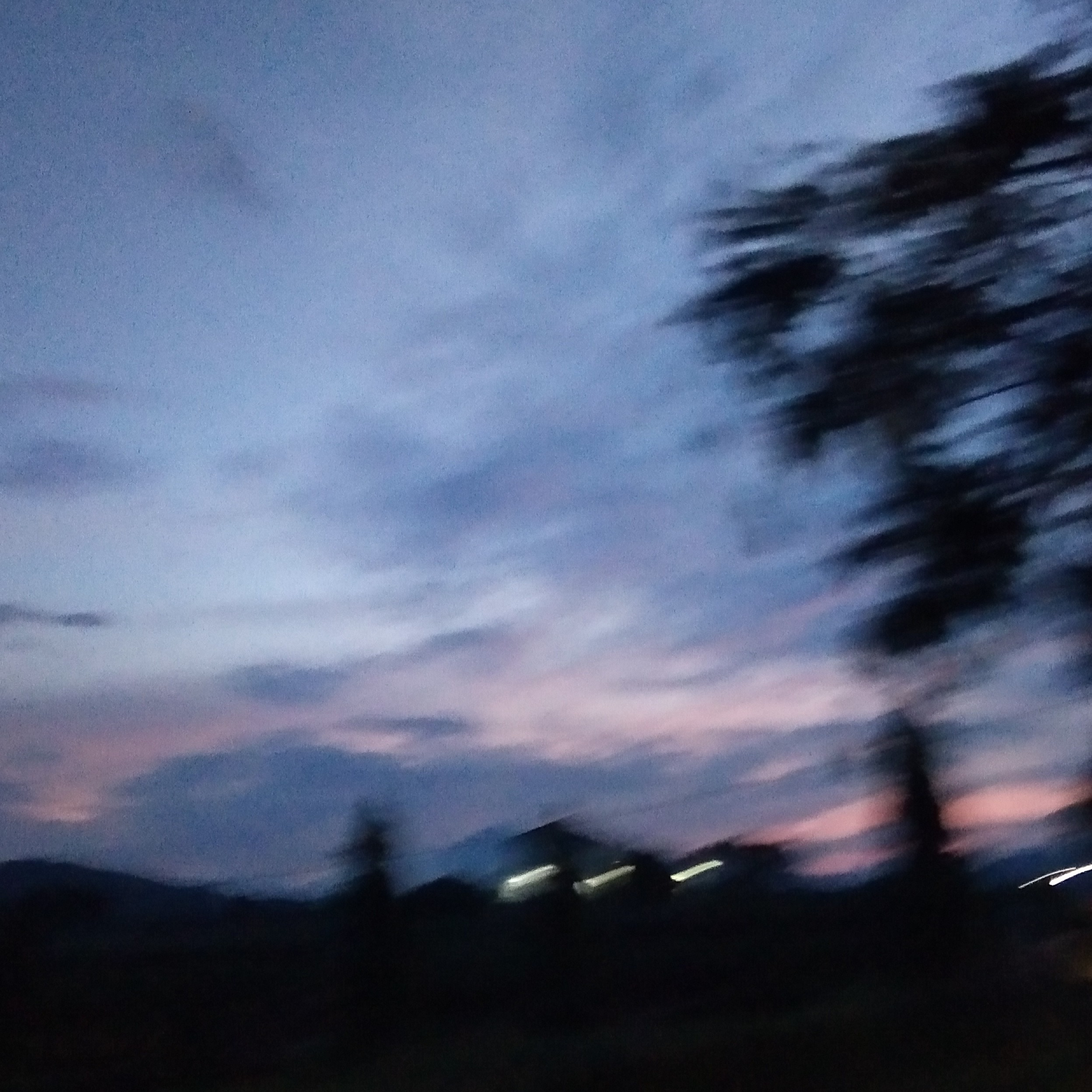 Asal