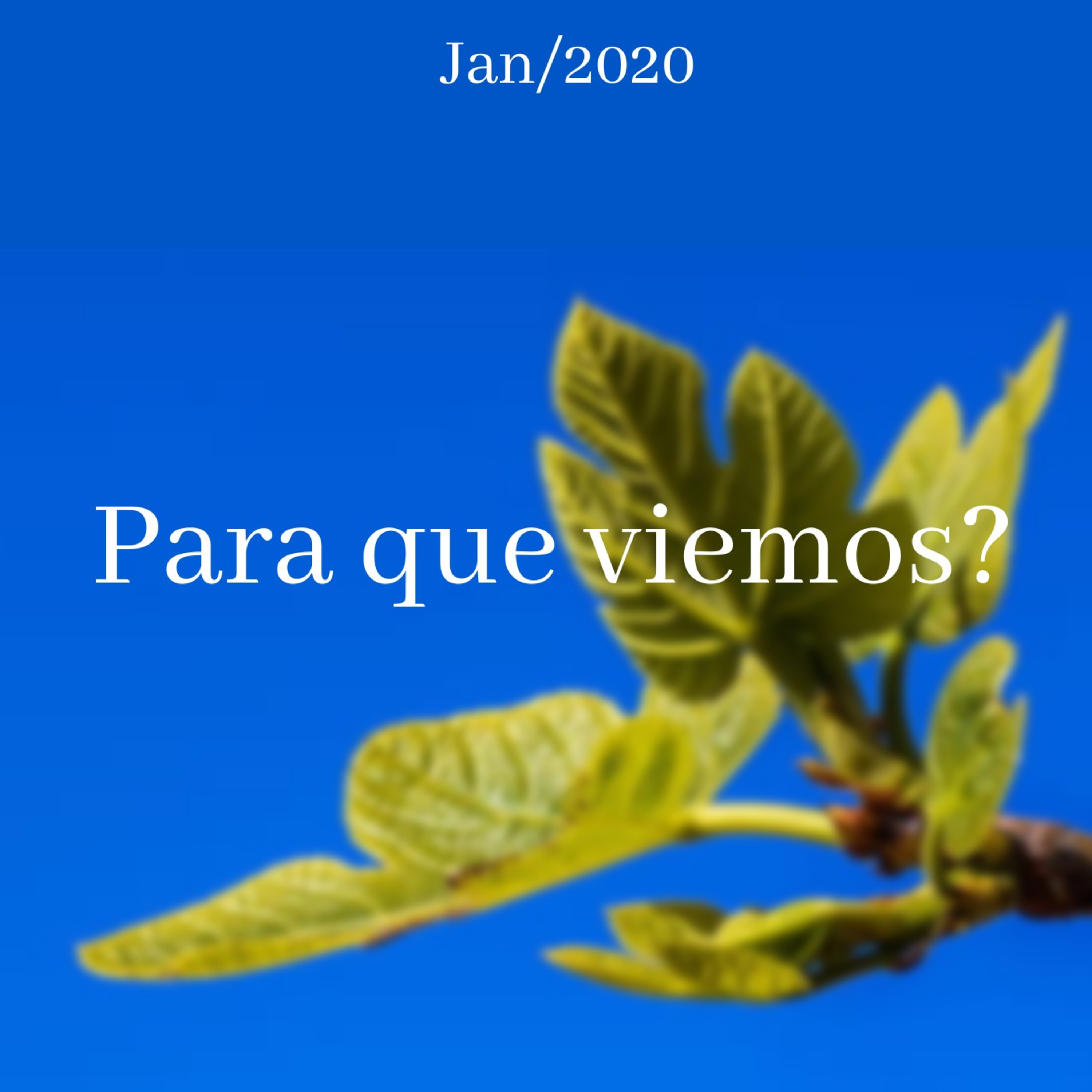 Para que viemos? episode artwork