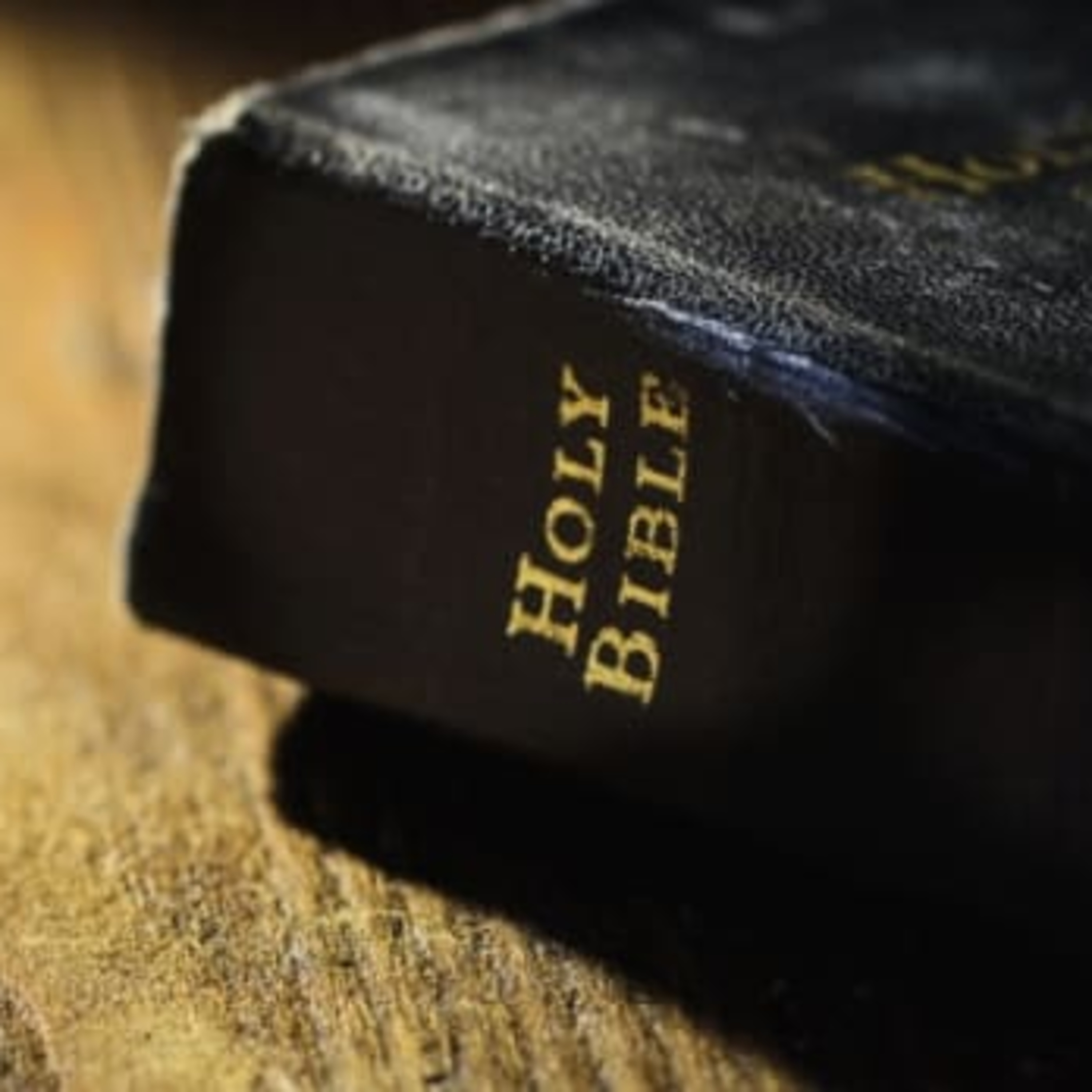 WHY IS THE BIBLE HATED IN 2020?  episode artwork