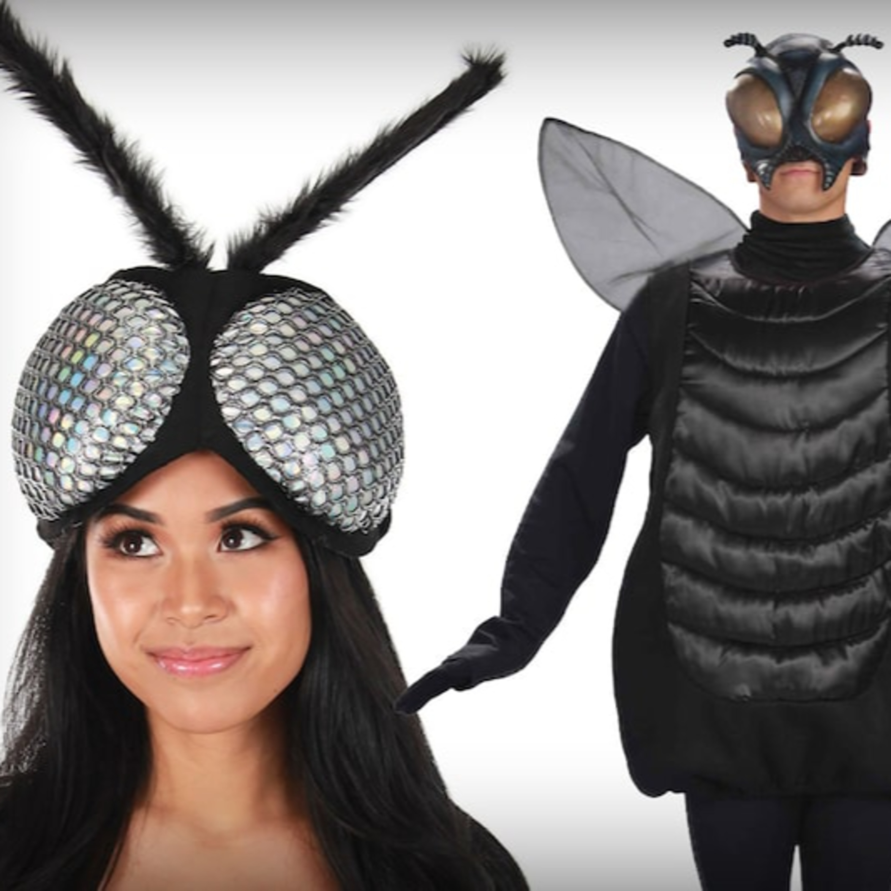 HALLOWEEN FLY COSTUME SELLS OUT AFTER VP DEBATE episode artwork