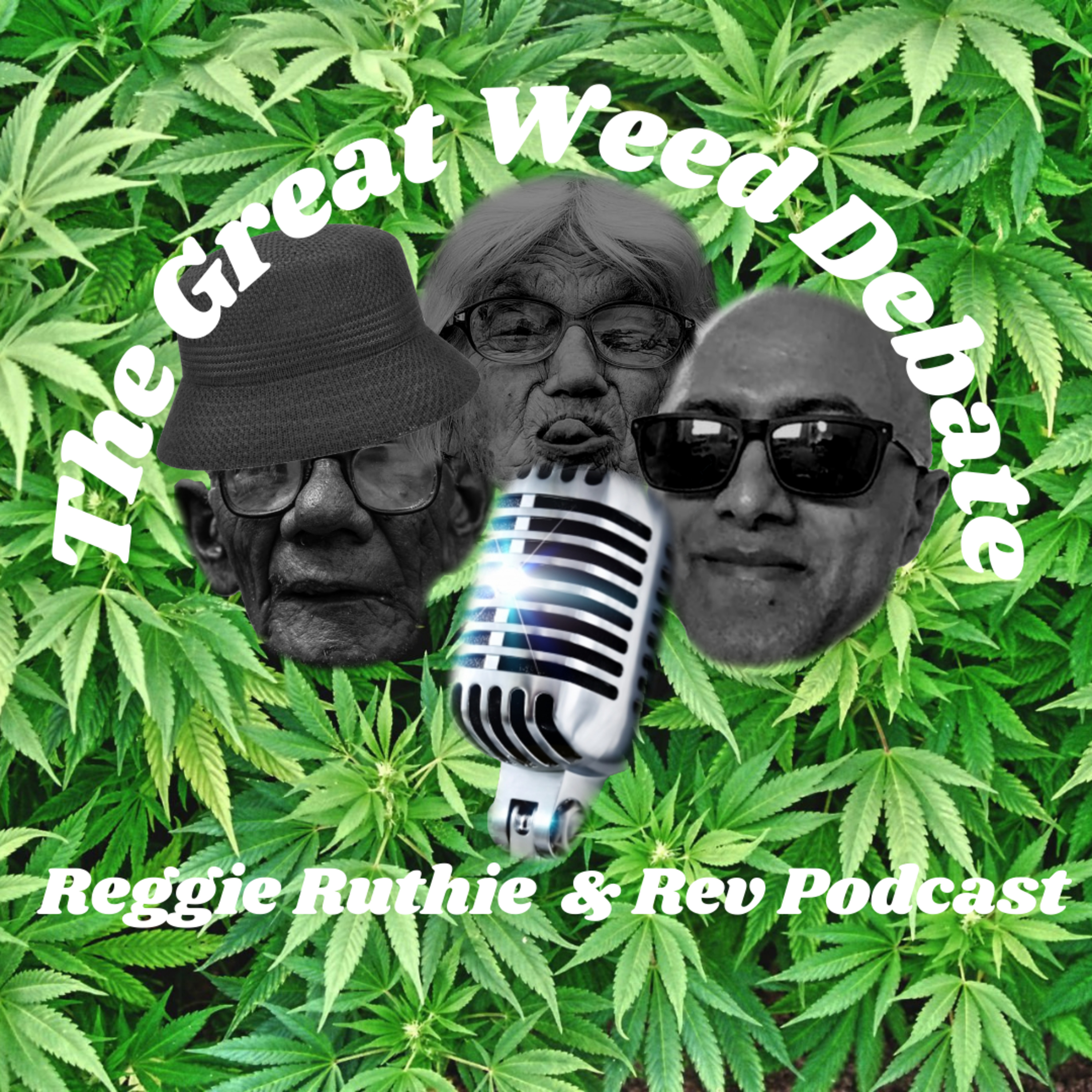 Episode Thirty The Town Hall Debate