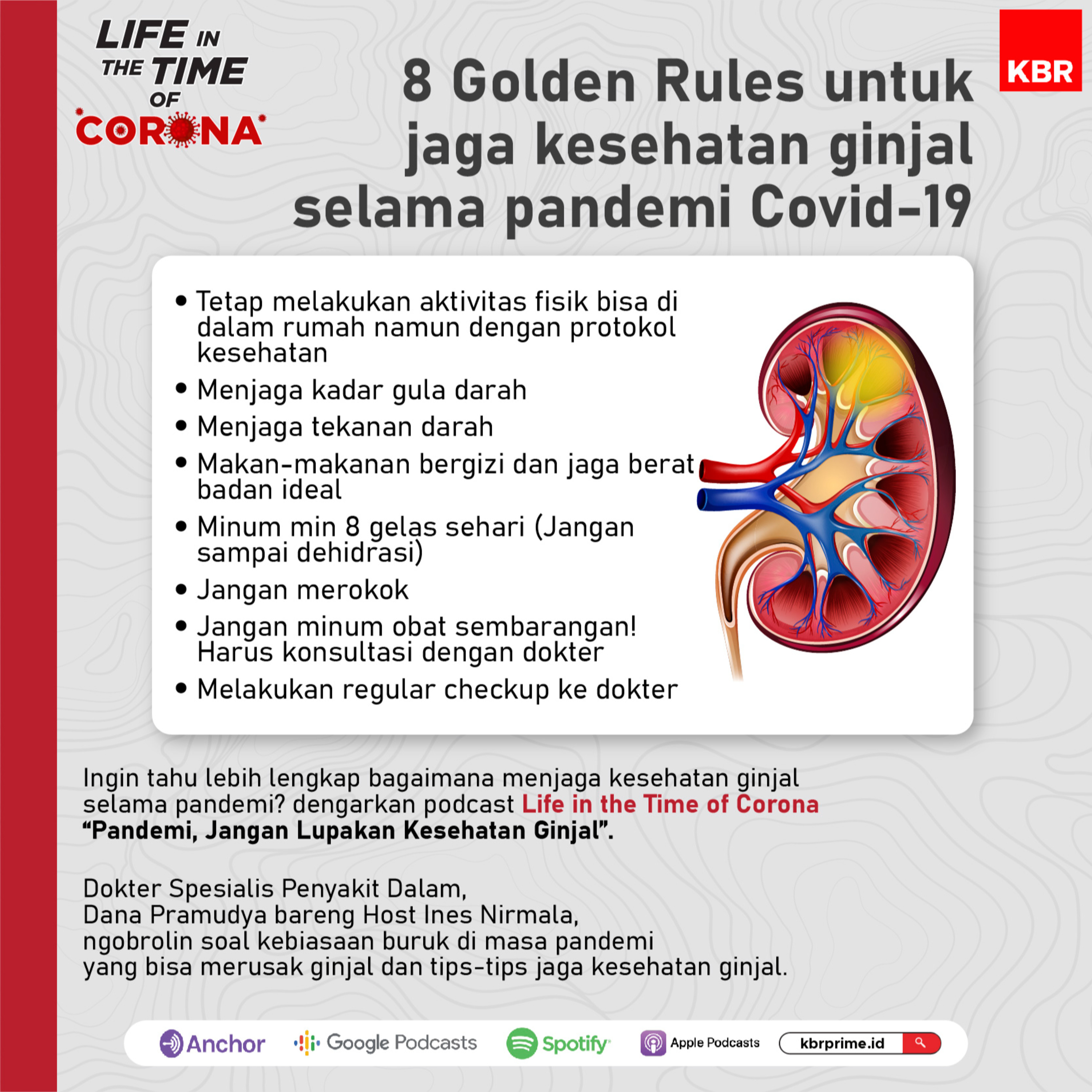 Pandemi, Jangan Lupakan Kesehatan Ginjal episode artwork