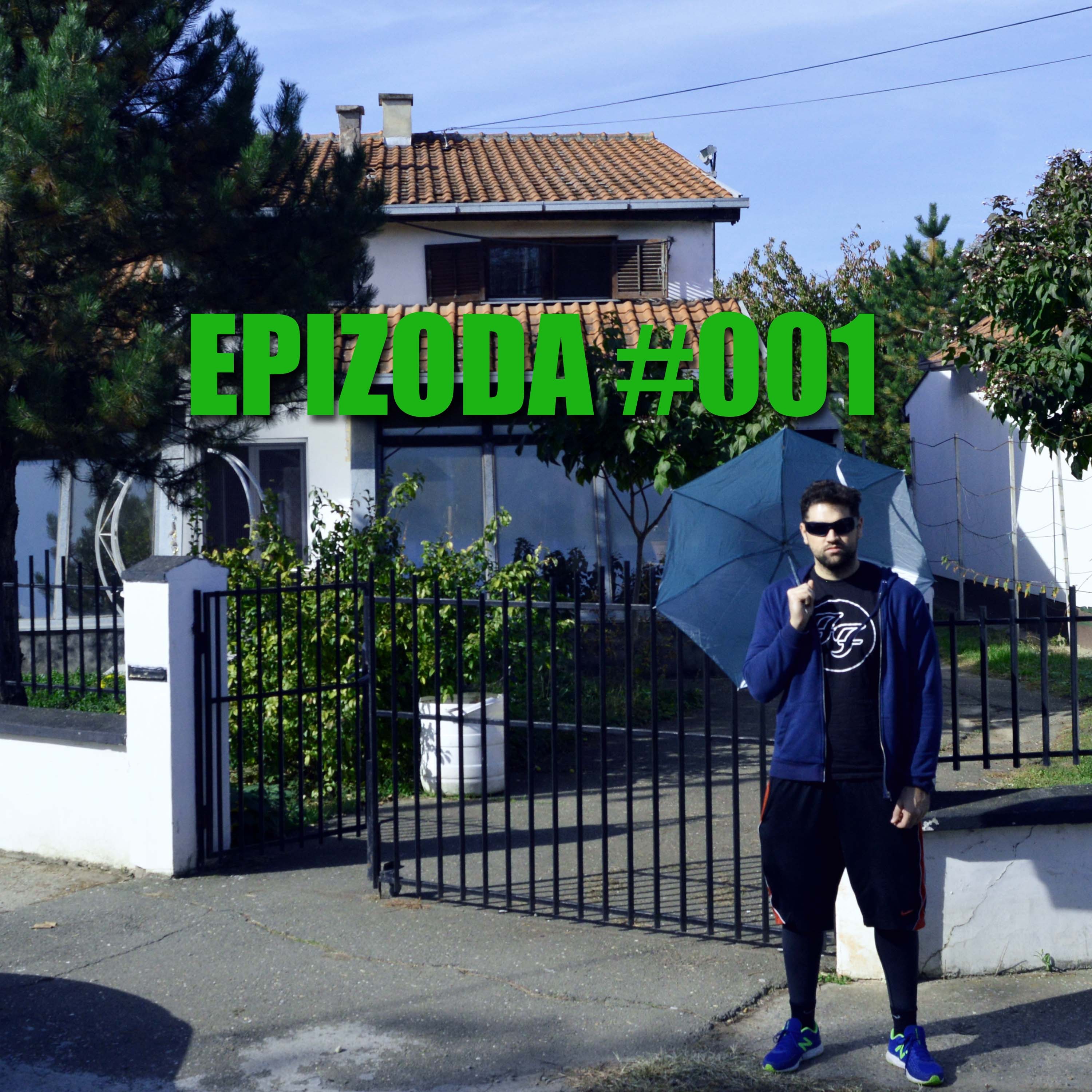 Zoki Se Vraća Kući
