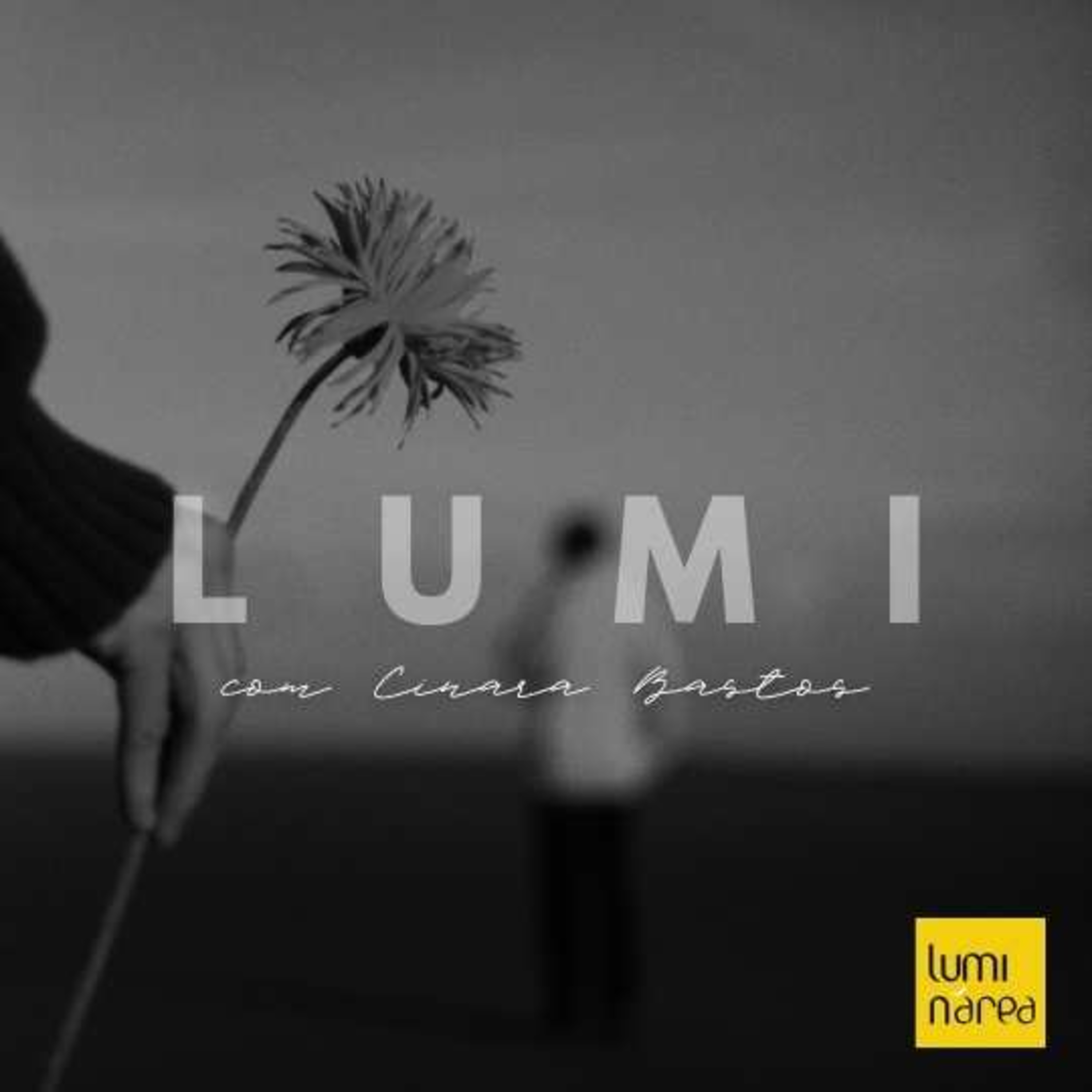 LUMI