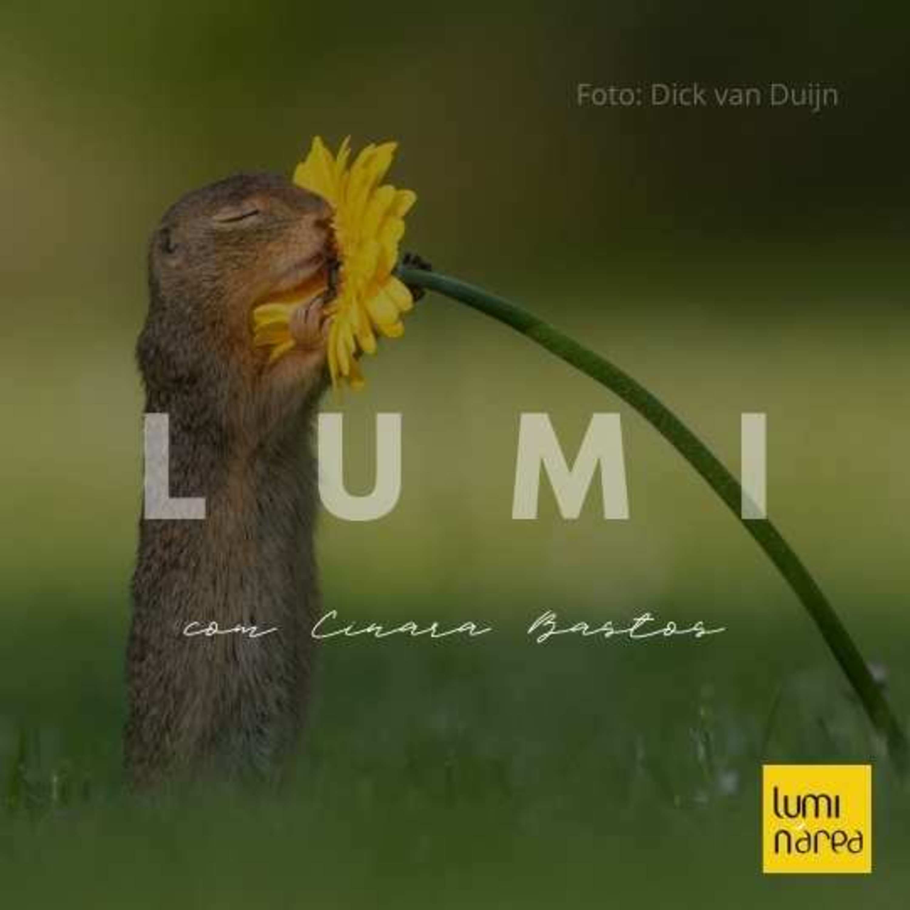 LUMI