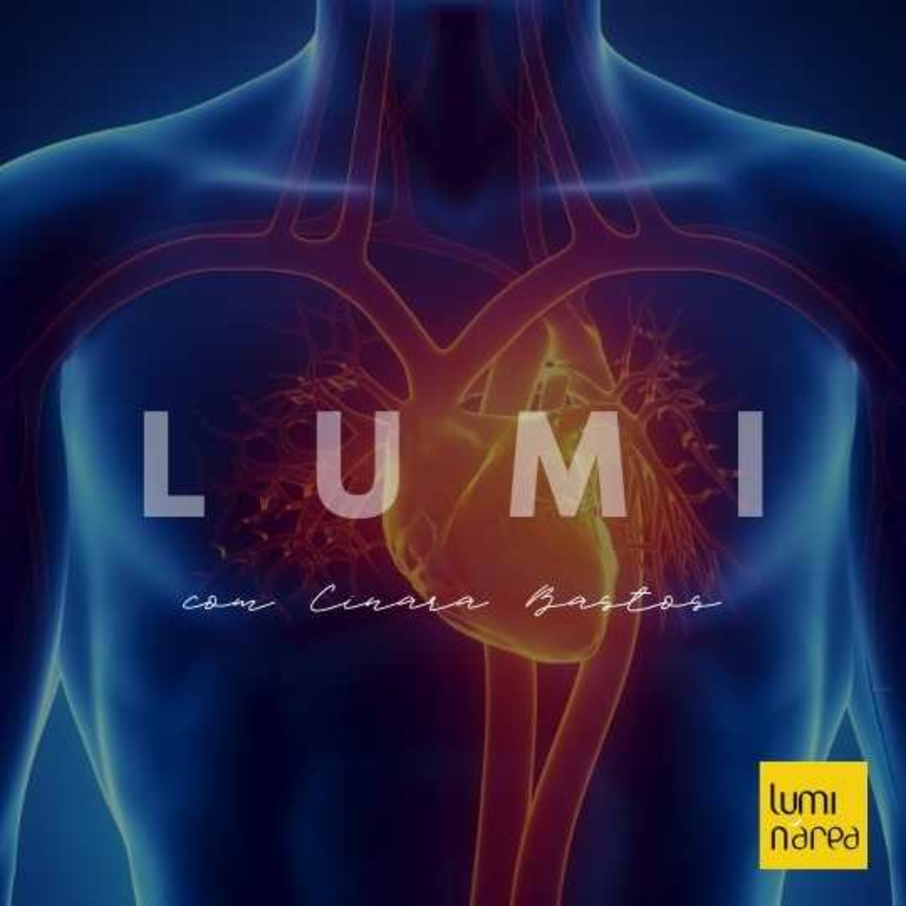 LUMI