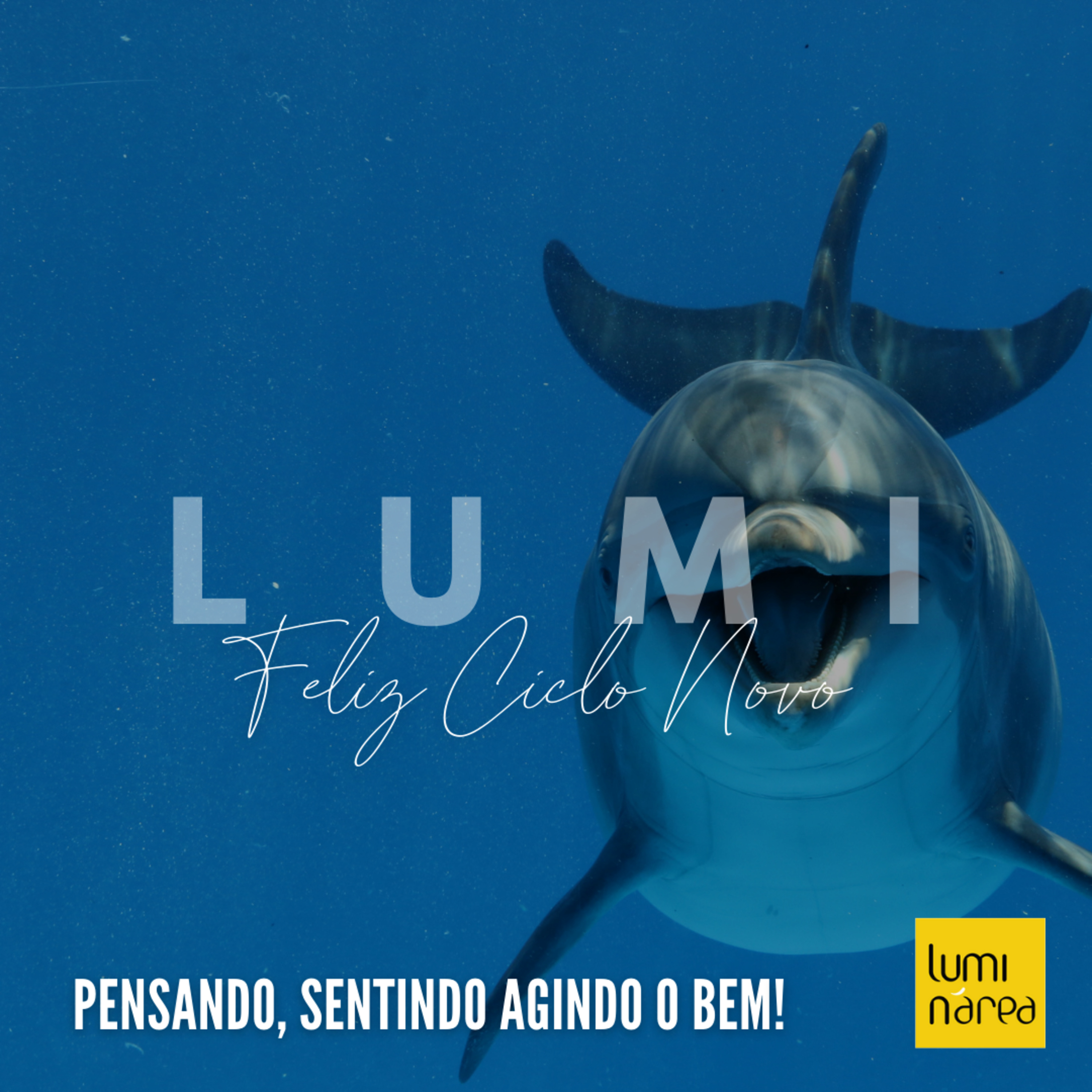 LUMI